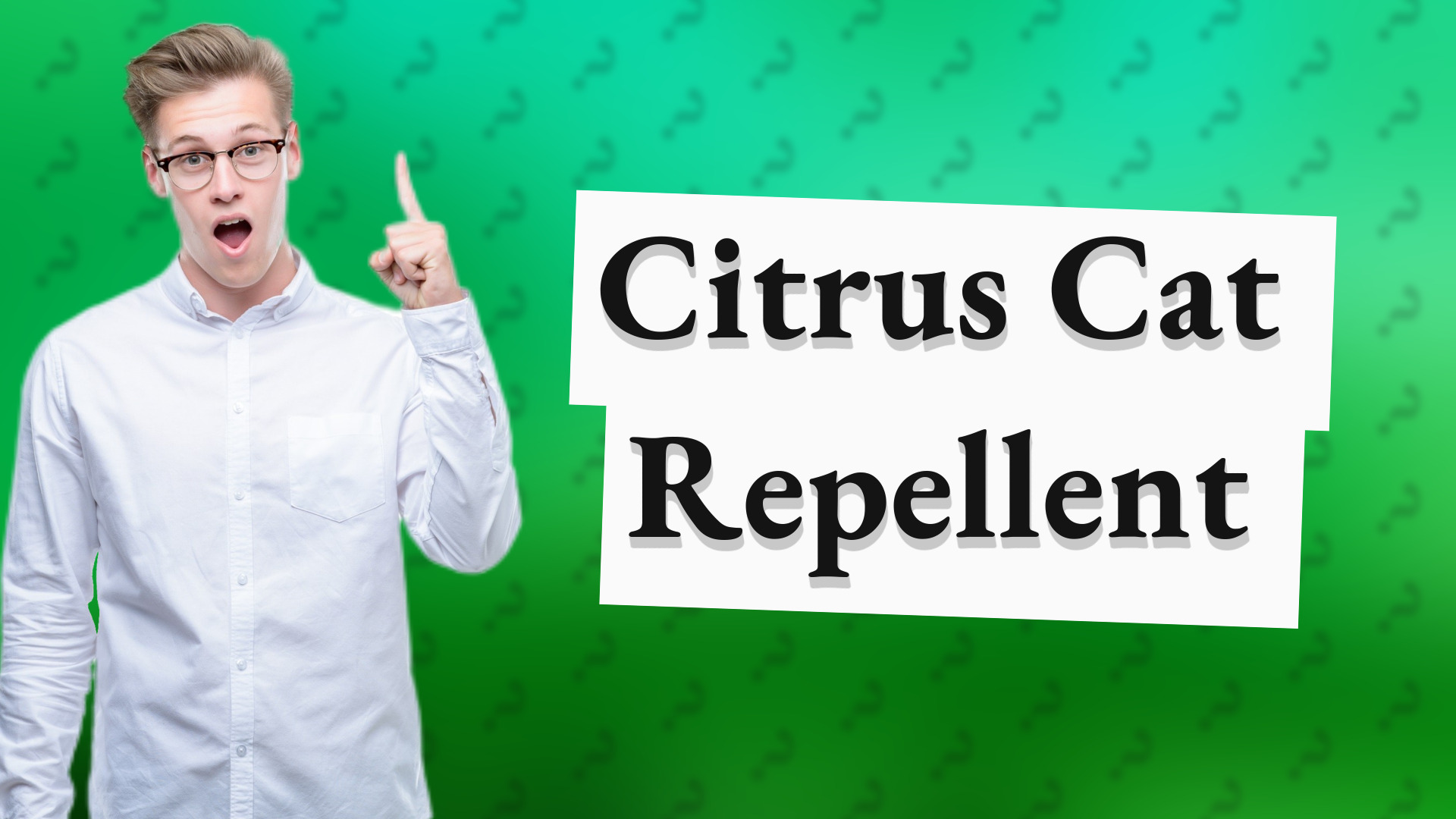 Citrus Cat Repellent