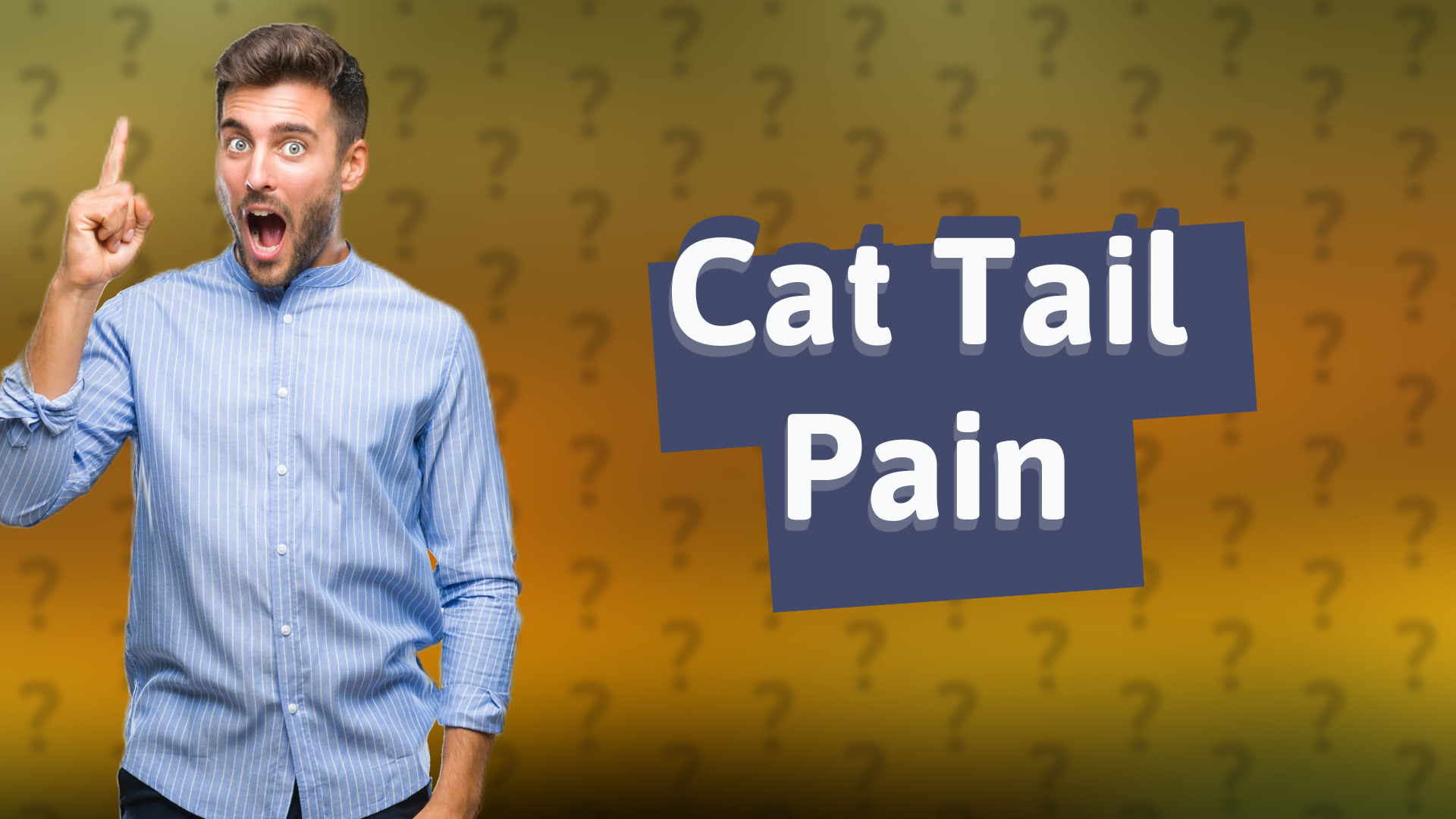 Cat Tail Pain