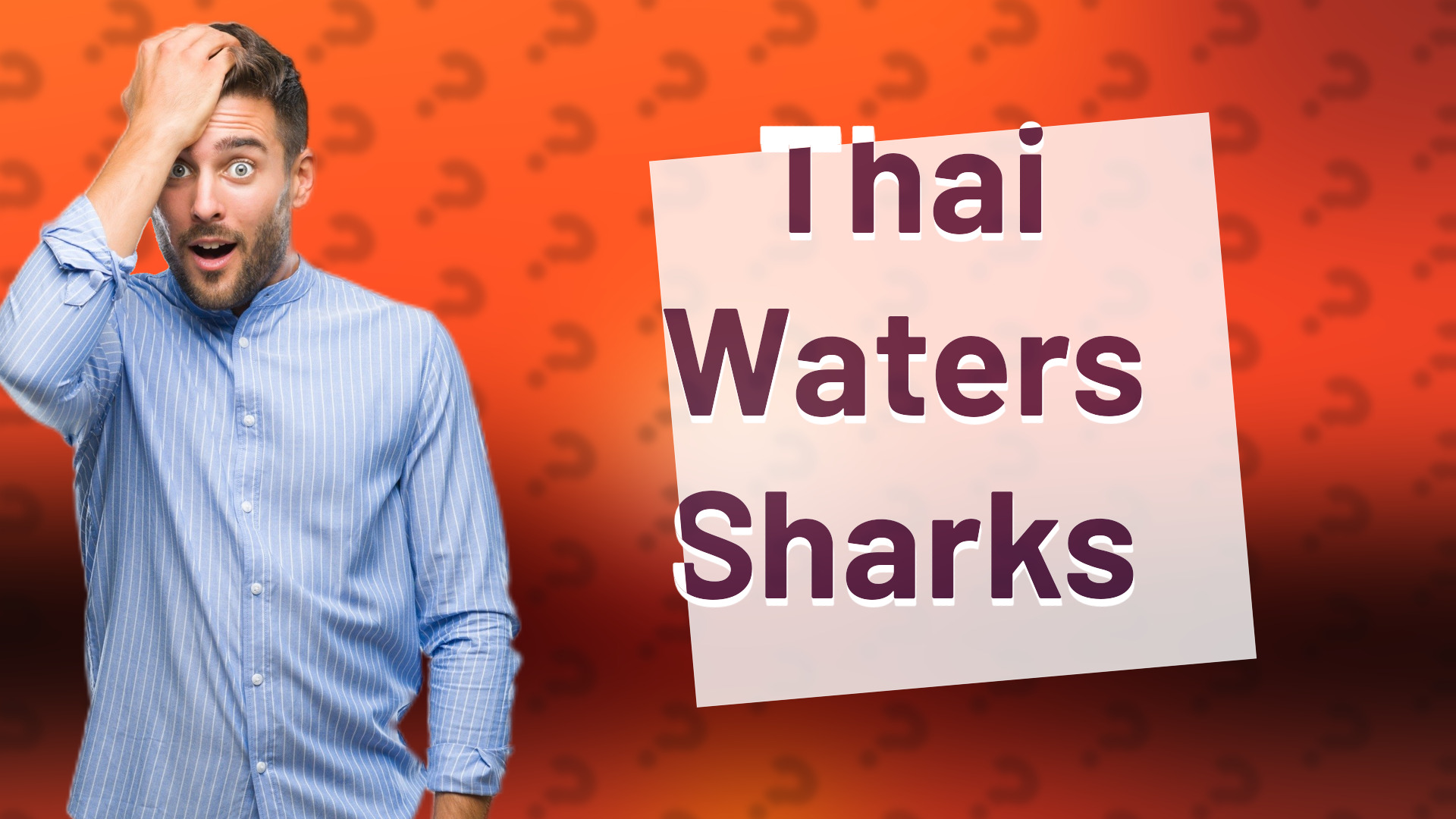 Thai Waters Sharks