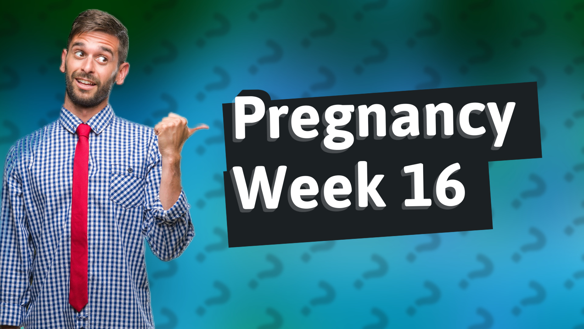 Pregnancy Week 16