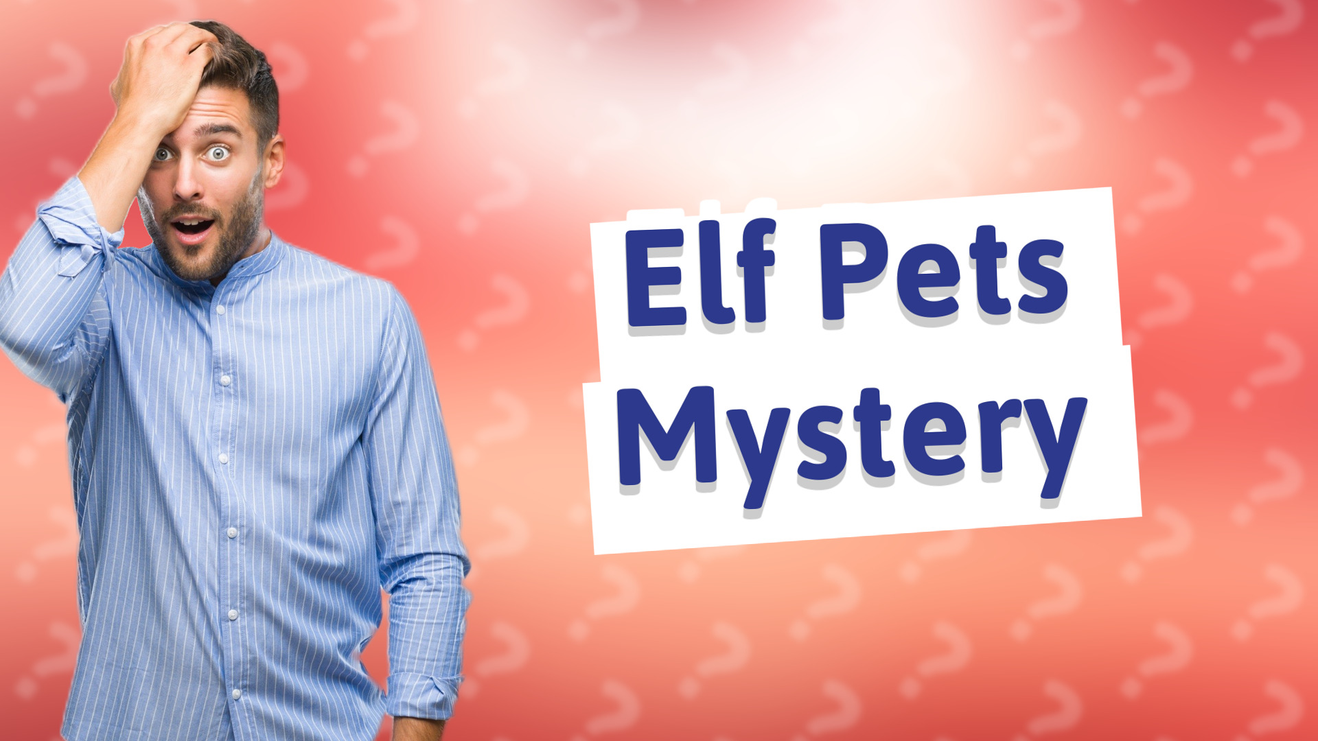 Elf Pets Mystery