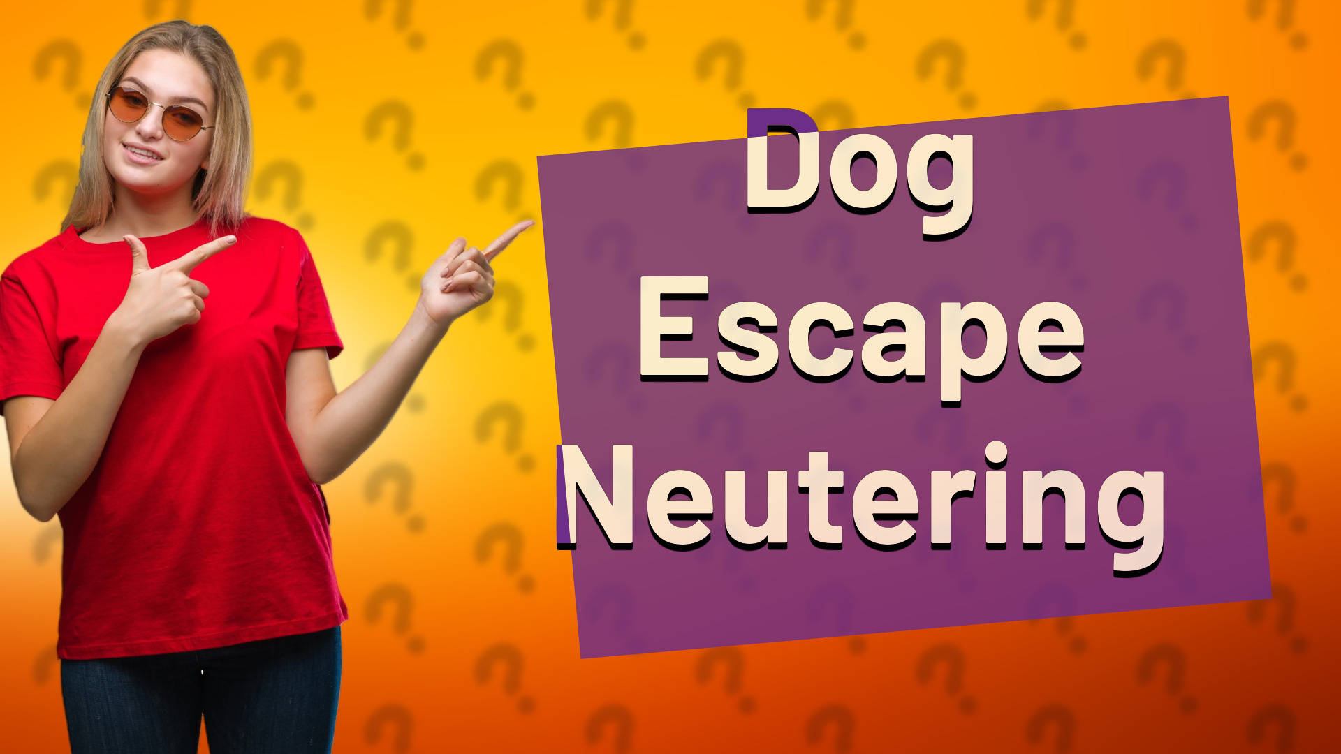 Dog Escape Neutering