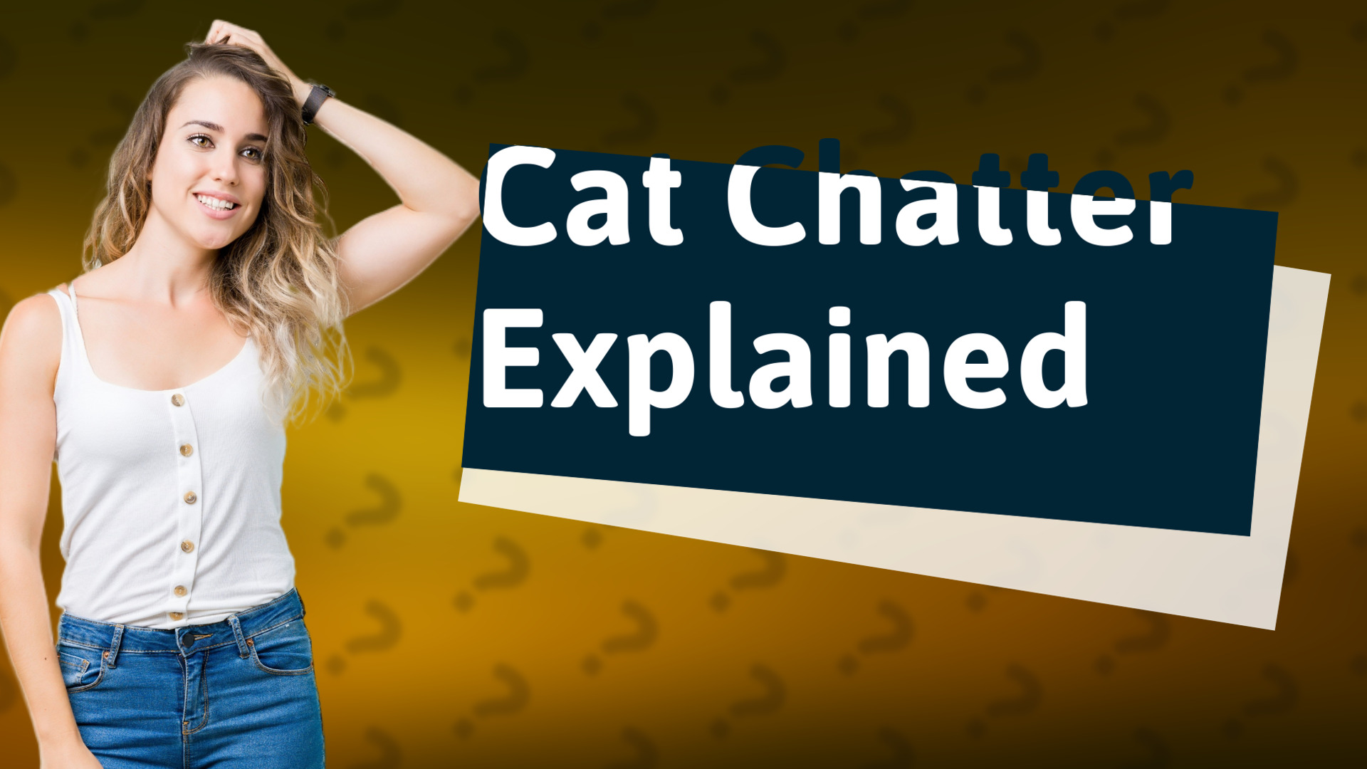 Cat Chatter Explained