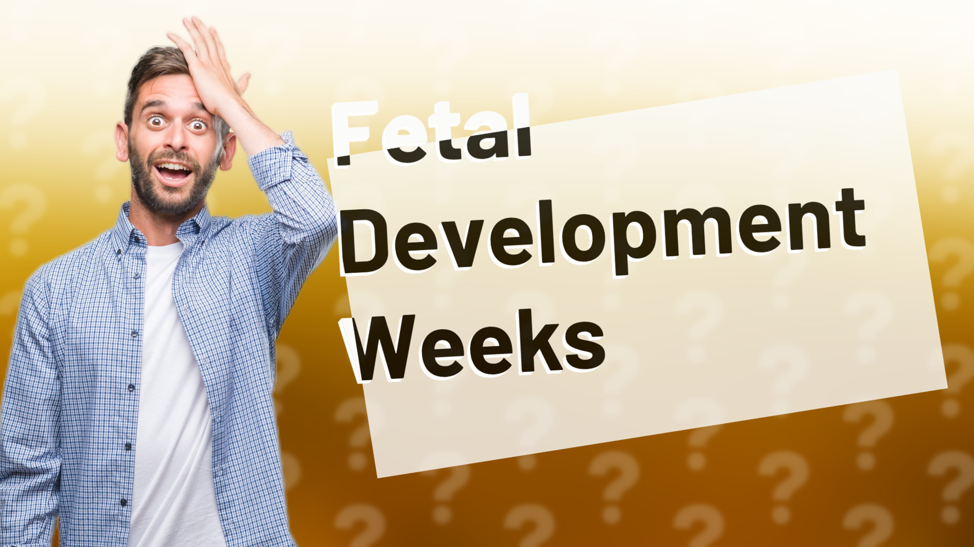 Fetal Development Weeks