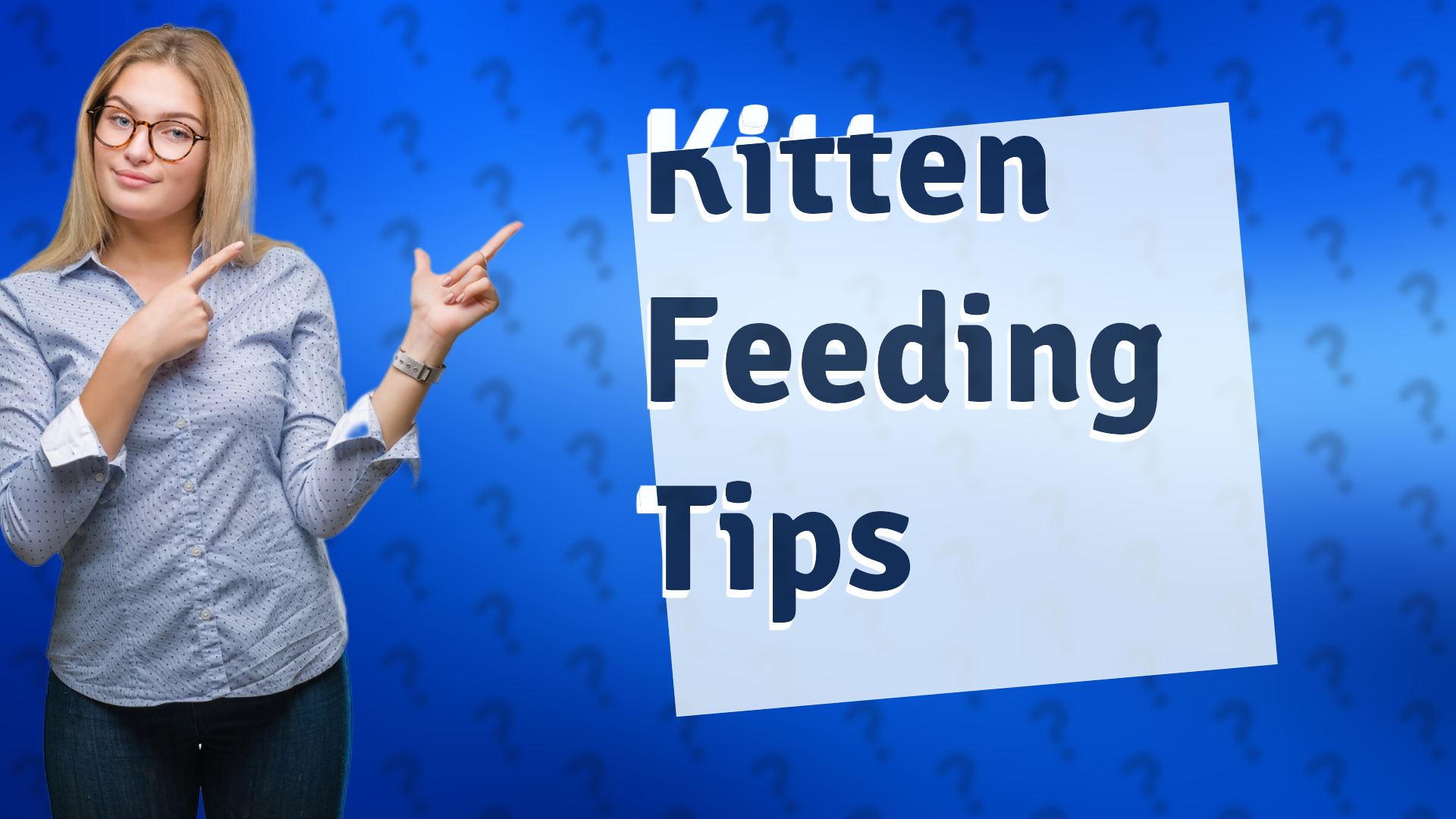 Kitten Feeding Tips