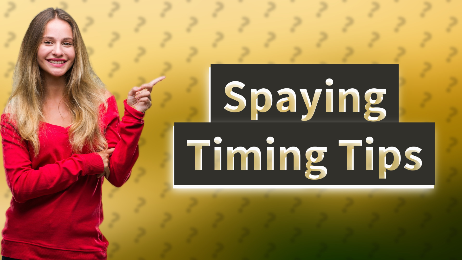 Spaying Timing Tips