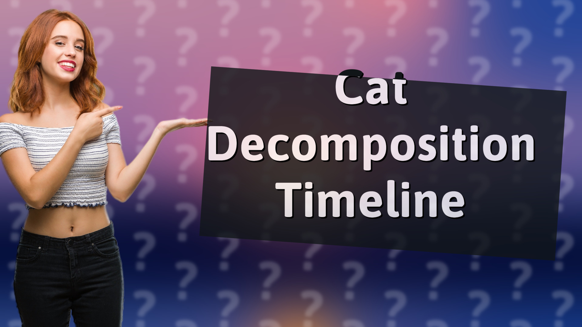 Cat Decomposition Timeline