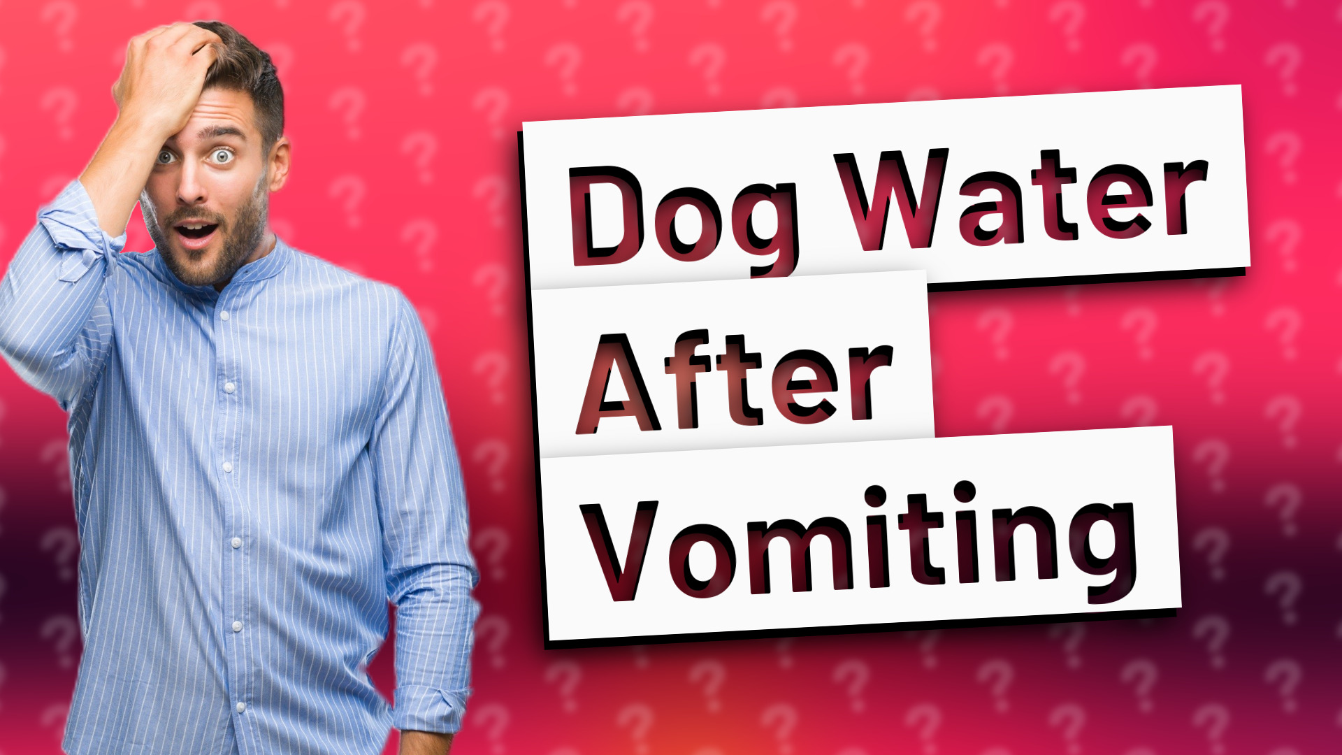 Dog Water After Vomiting