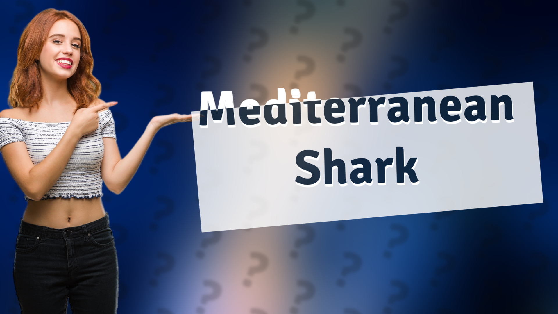 Mediterranean Shark
