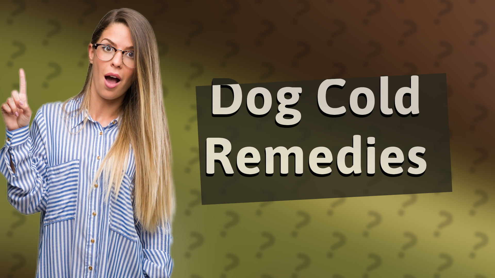 Dog Cold Remedies