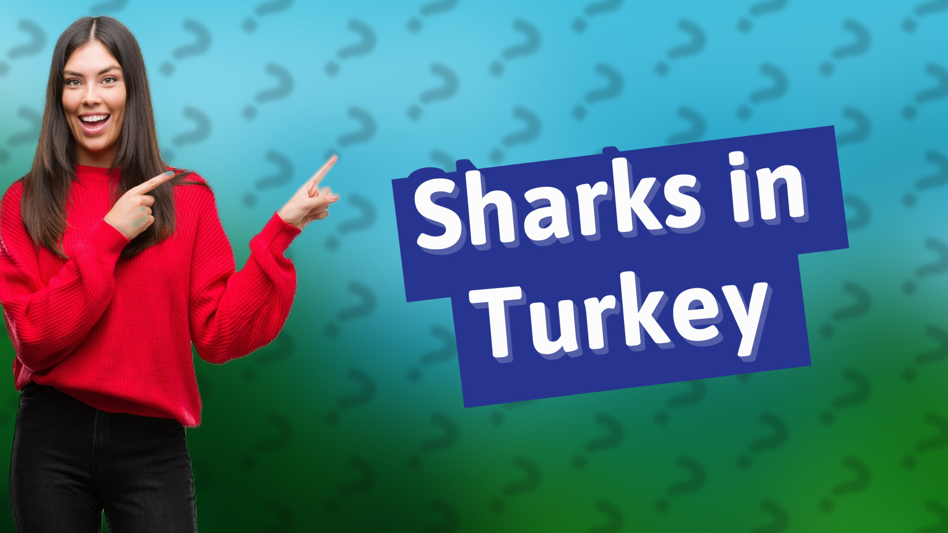 Sharks in Turkey