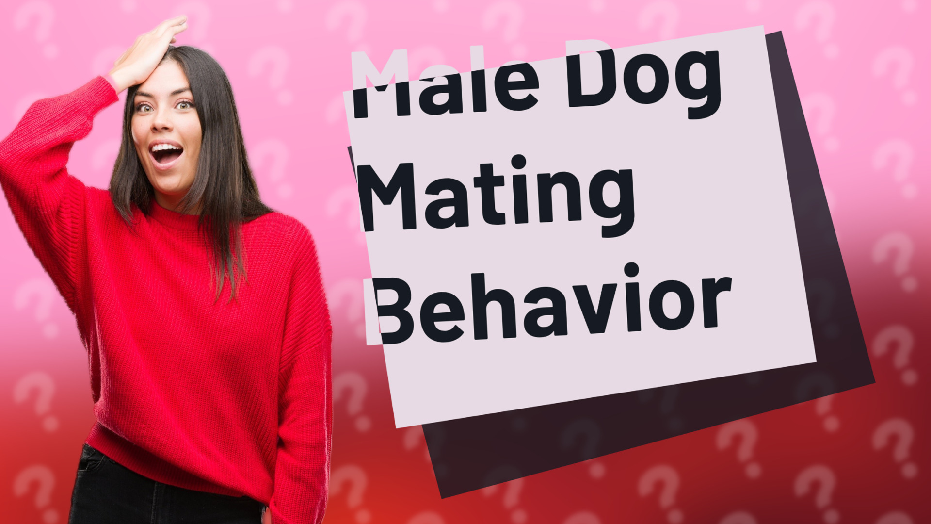 Male Dog Mating Behavior