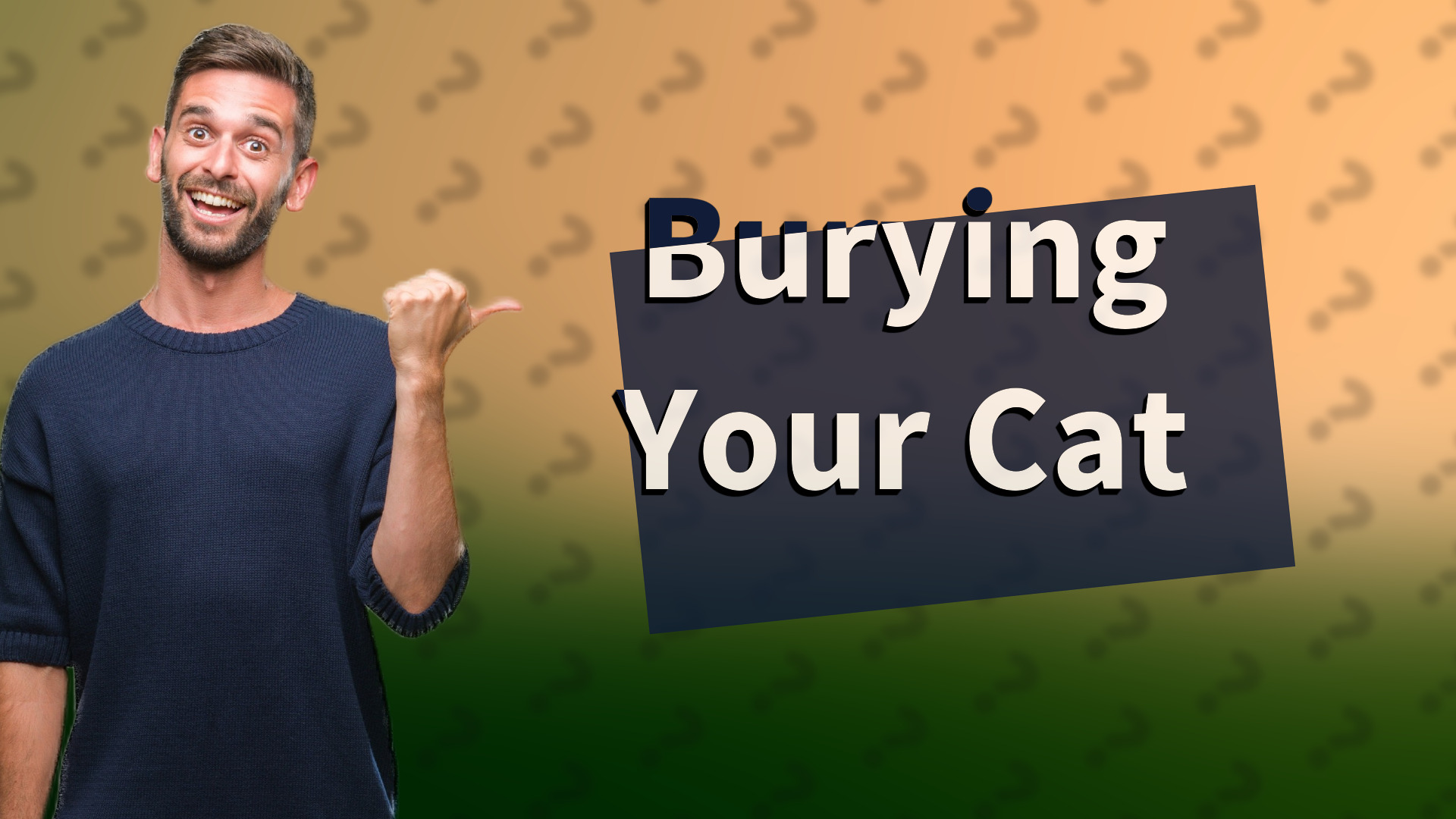 Burying Your Cat