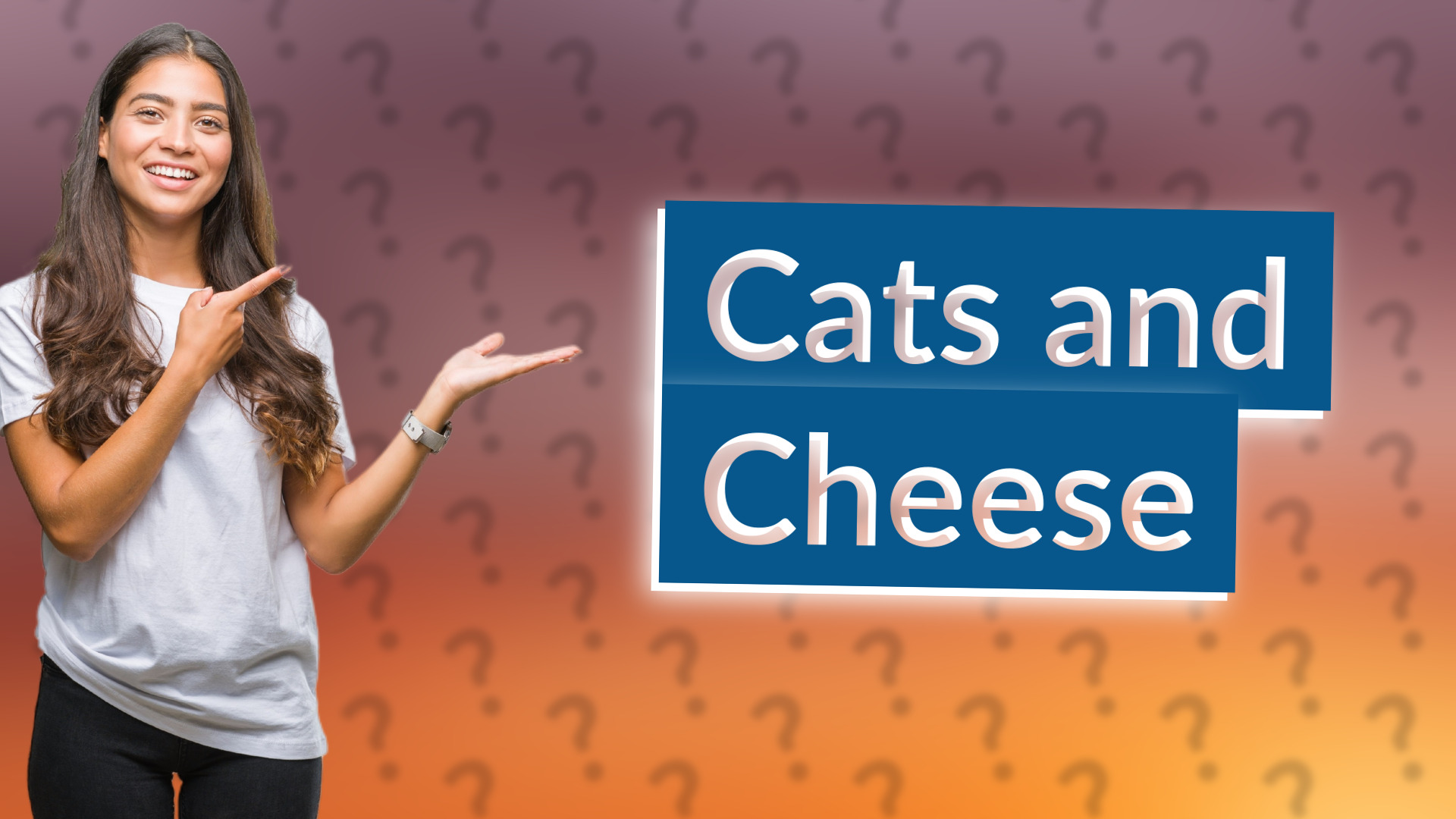 Cats and Cheese