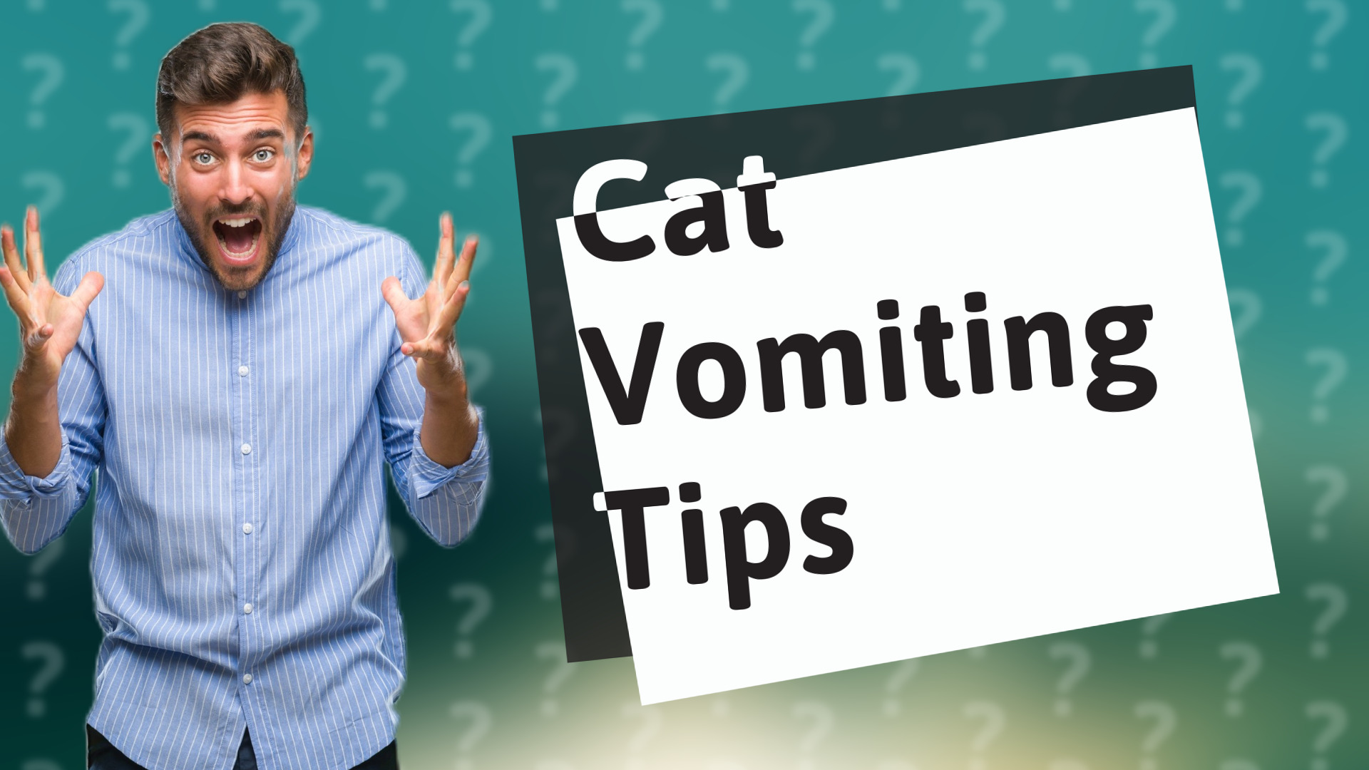 Cat Vomiting Tips