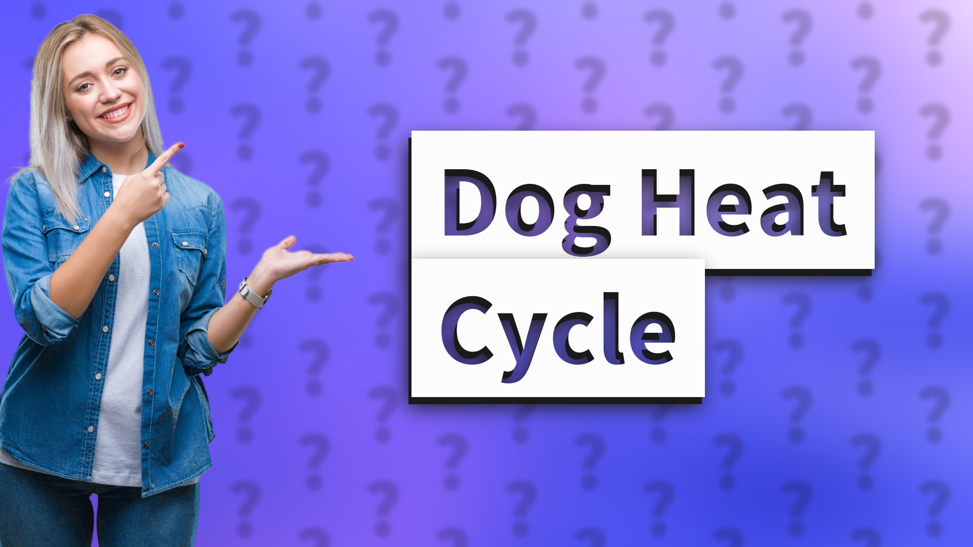 Dog Heat Cycle