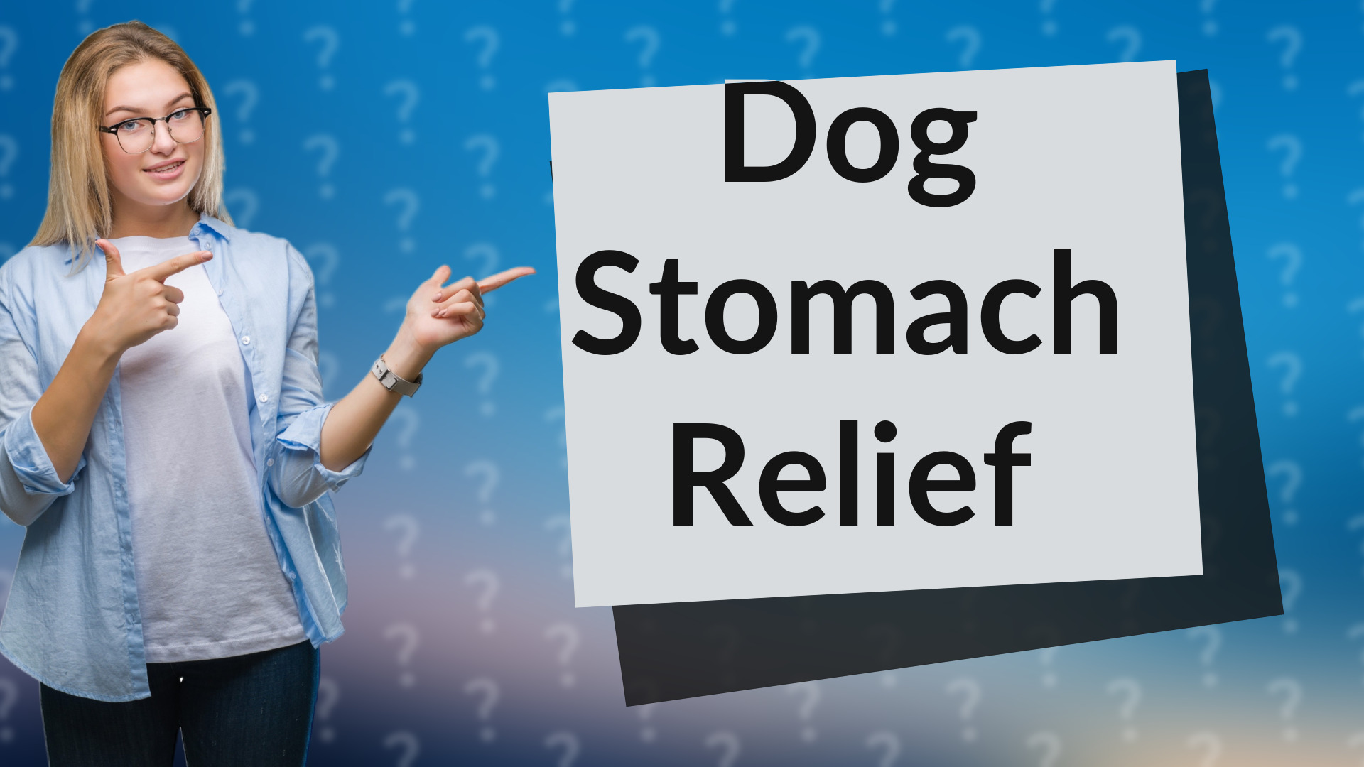 Dog Stomach Relief