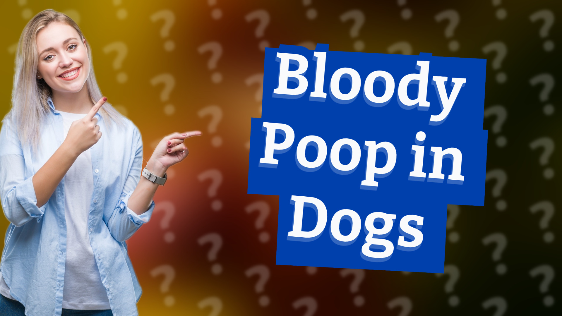 Bloody Poop in Dogs