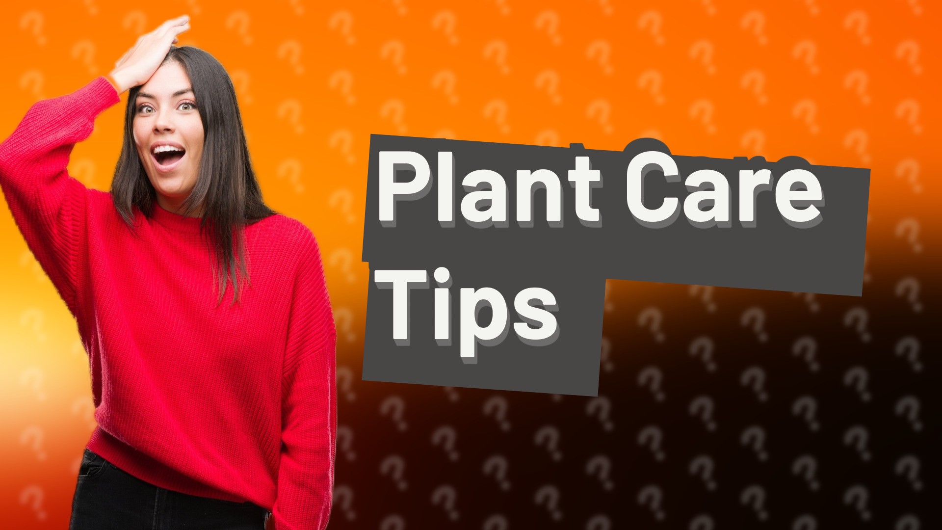 Plant Care Tips