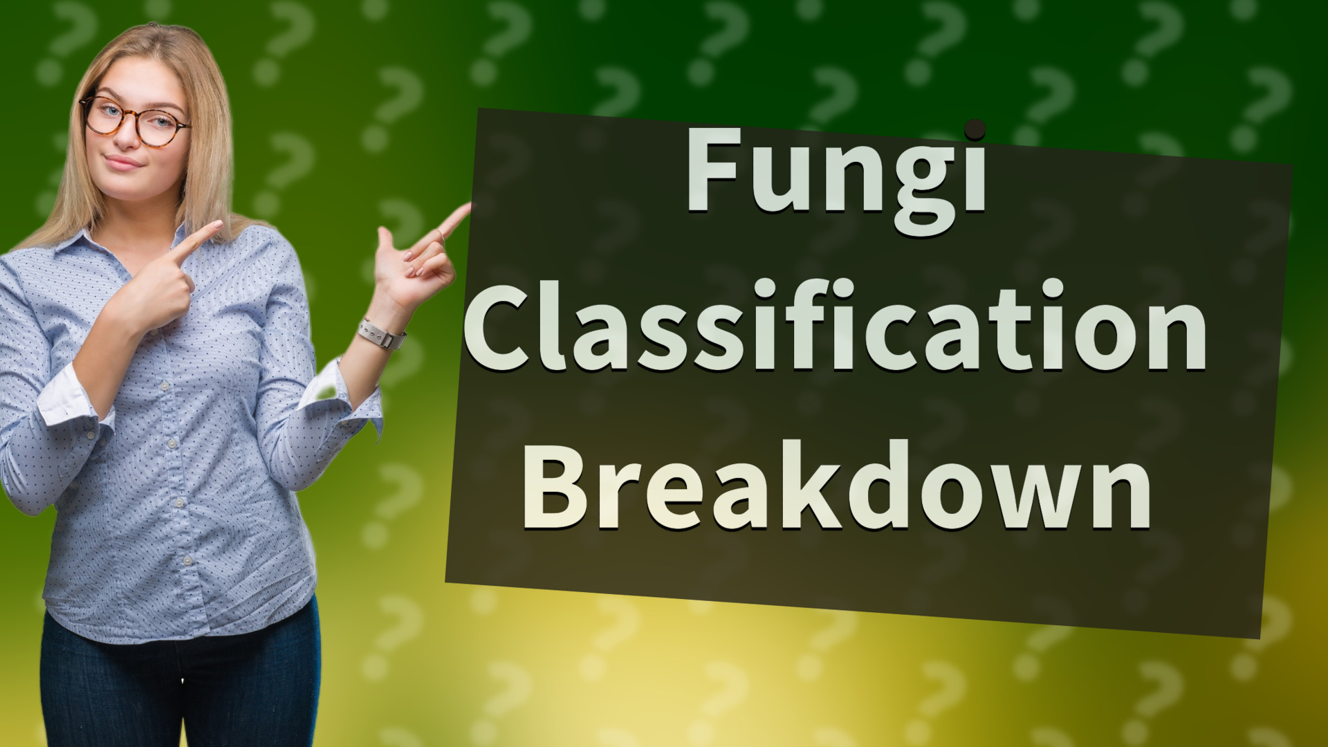 Fungi Classification Breakdown