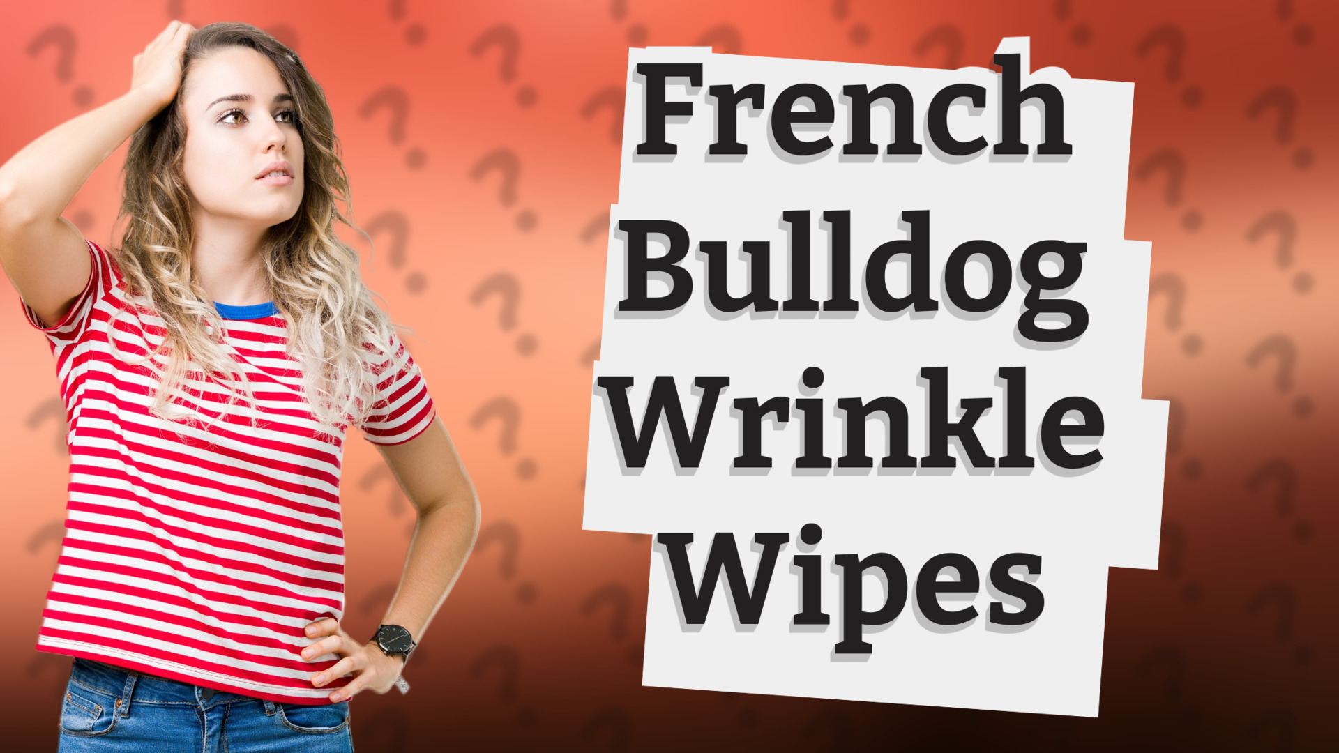 French Bulldog Wrinkle Wipes
