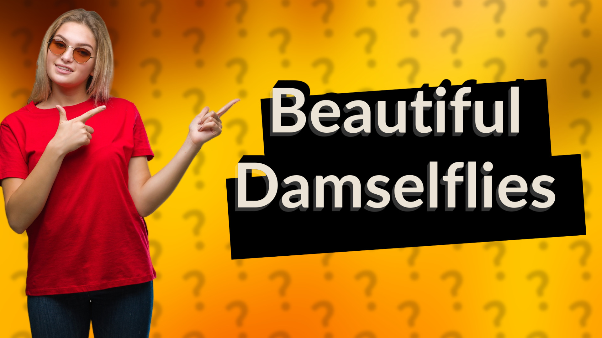 Beautiful Damselflies