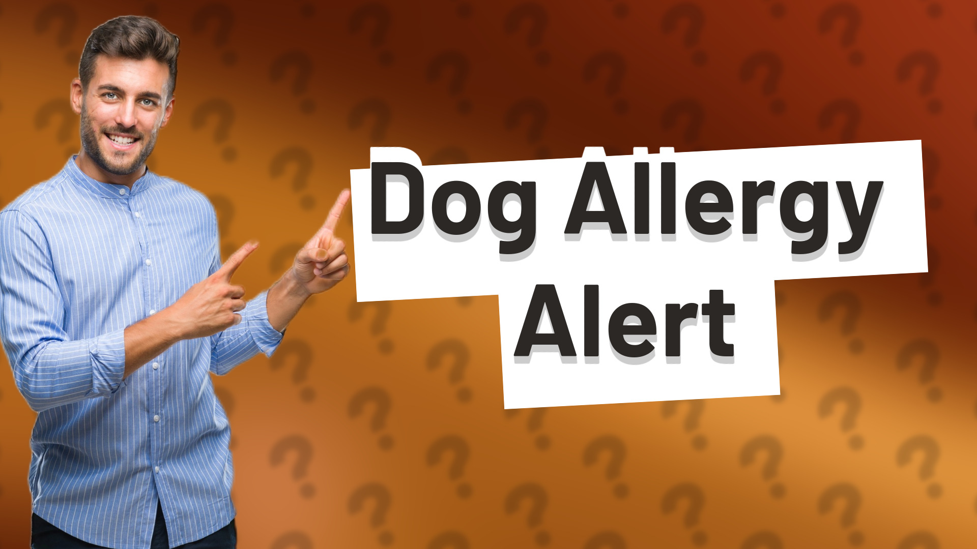 Dog Allergy Alert