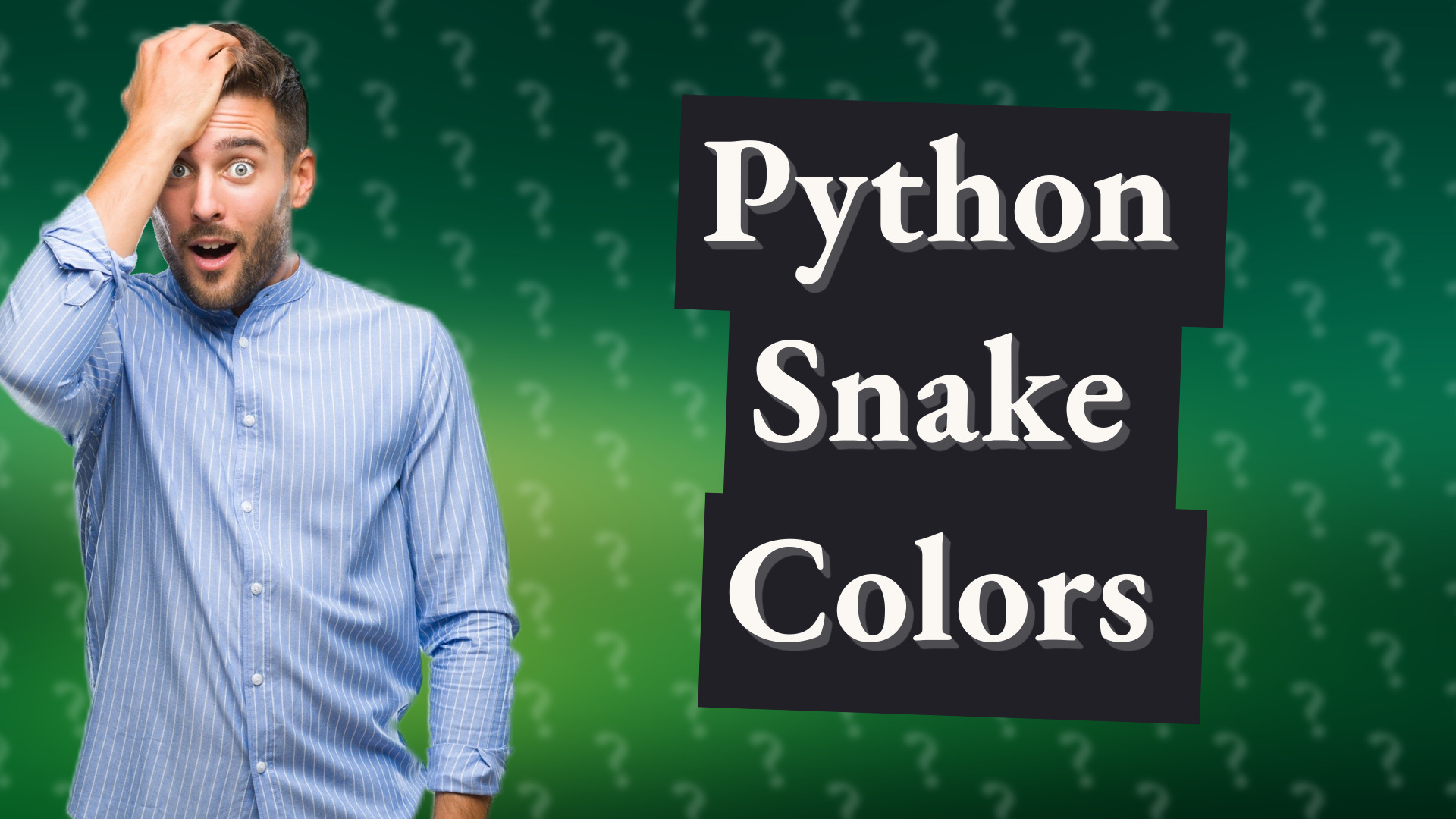 Python Snake Colors