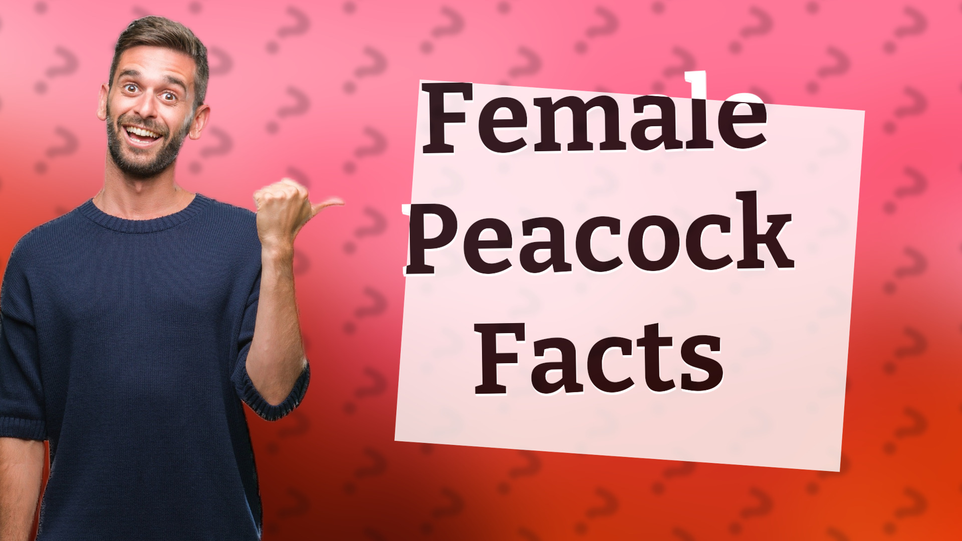 Female Peacock Facts