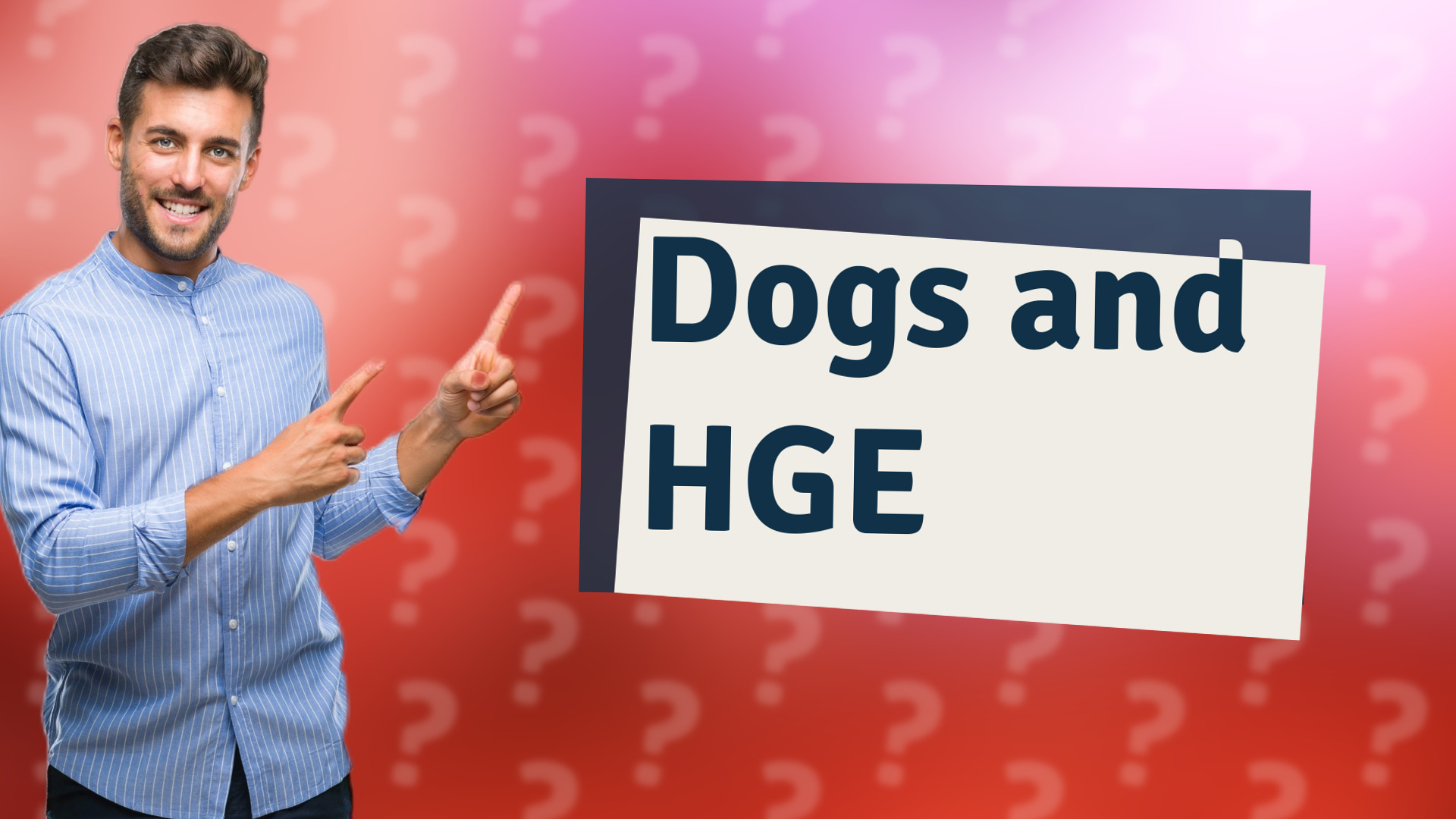 Dogs and HGE