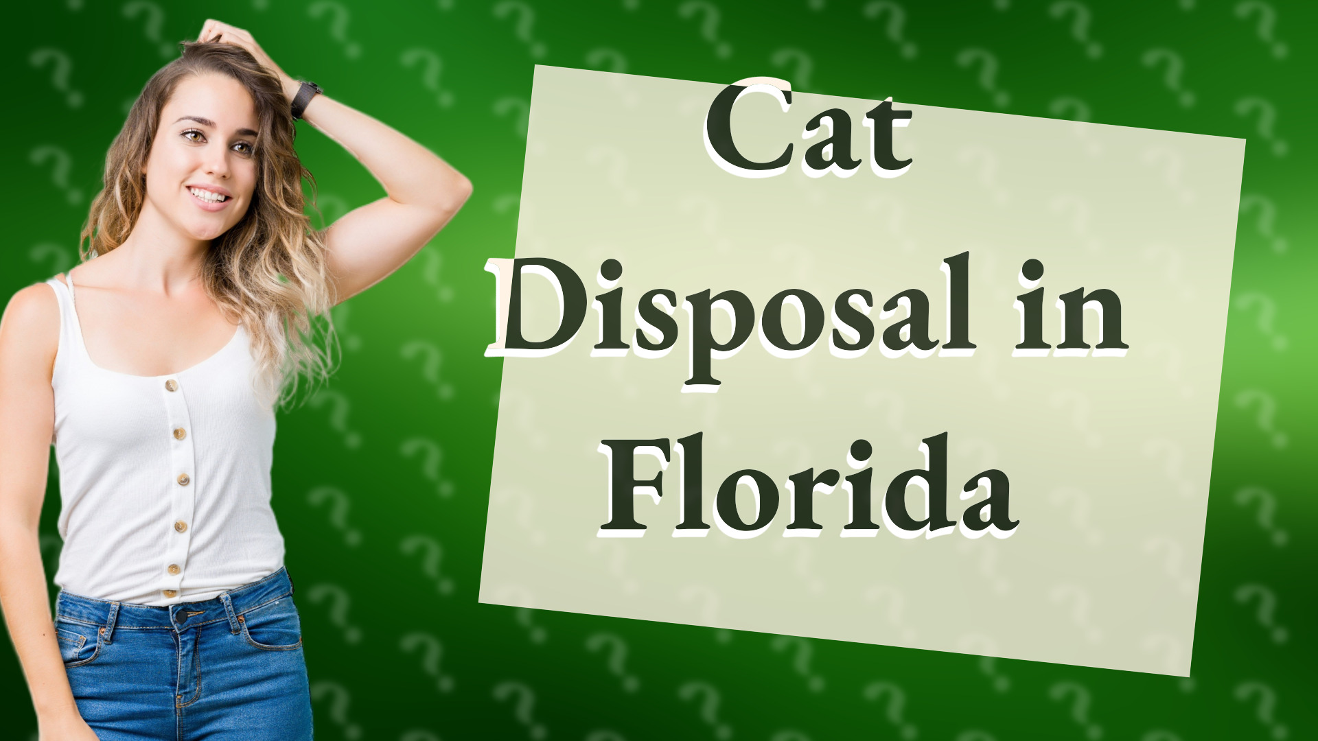 Cat Disposal in Florida