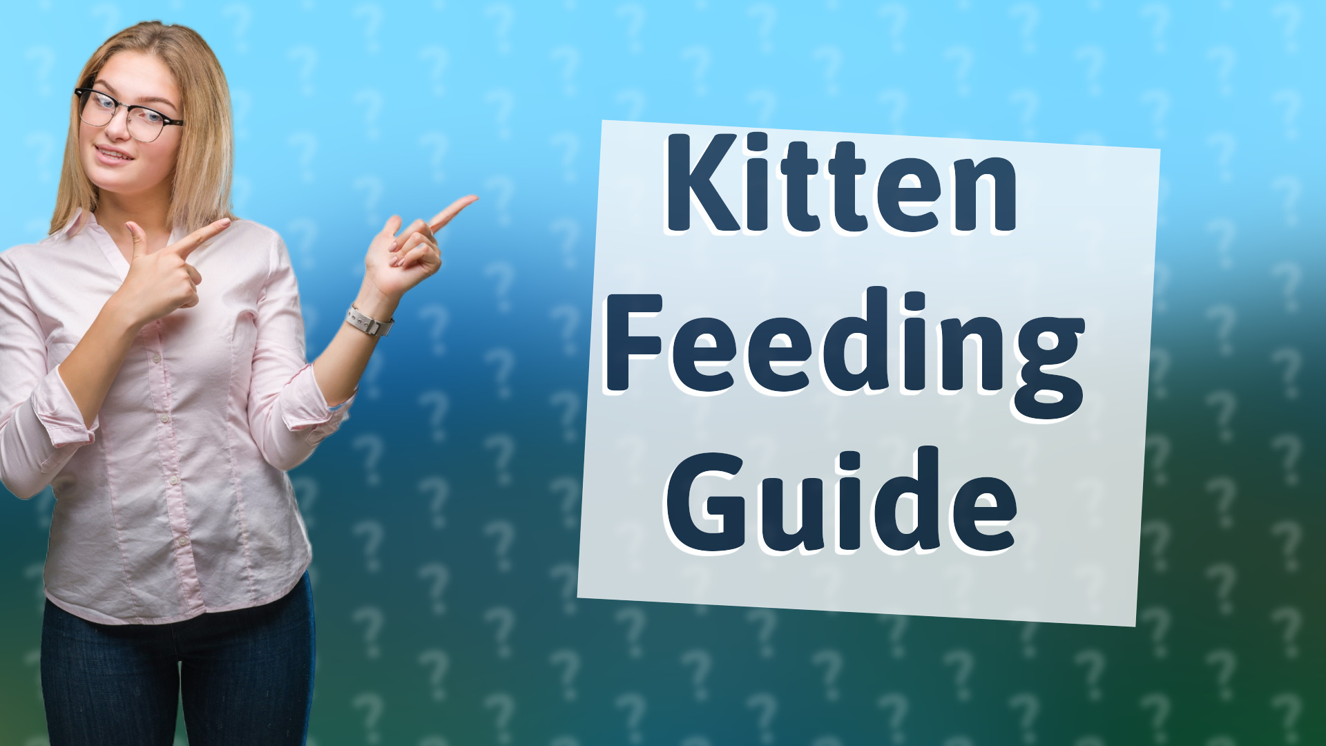 Kitten Feeding Guide