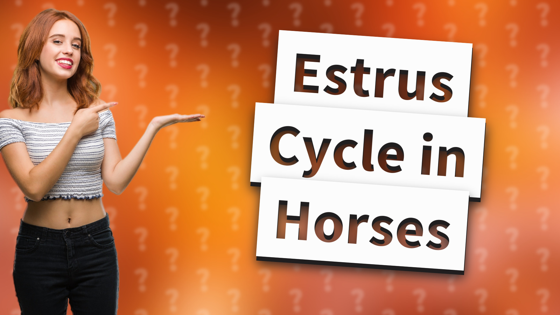Estrus Cycle in Horses