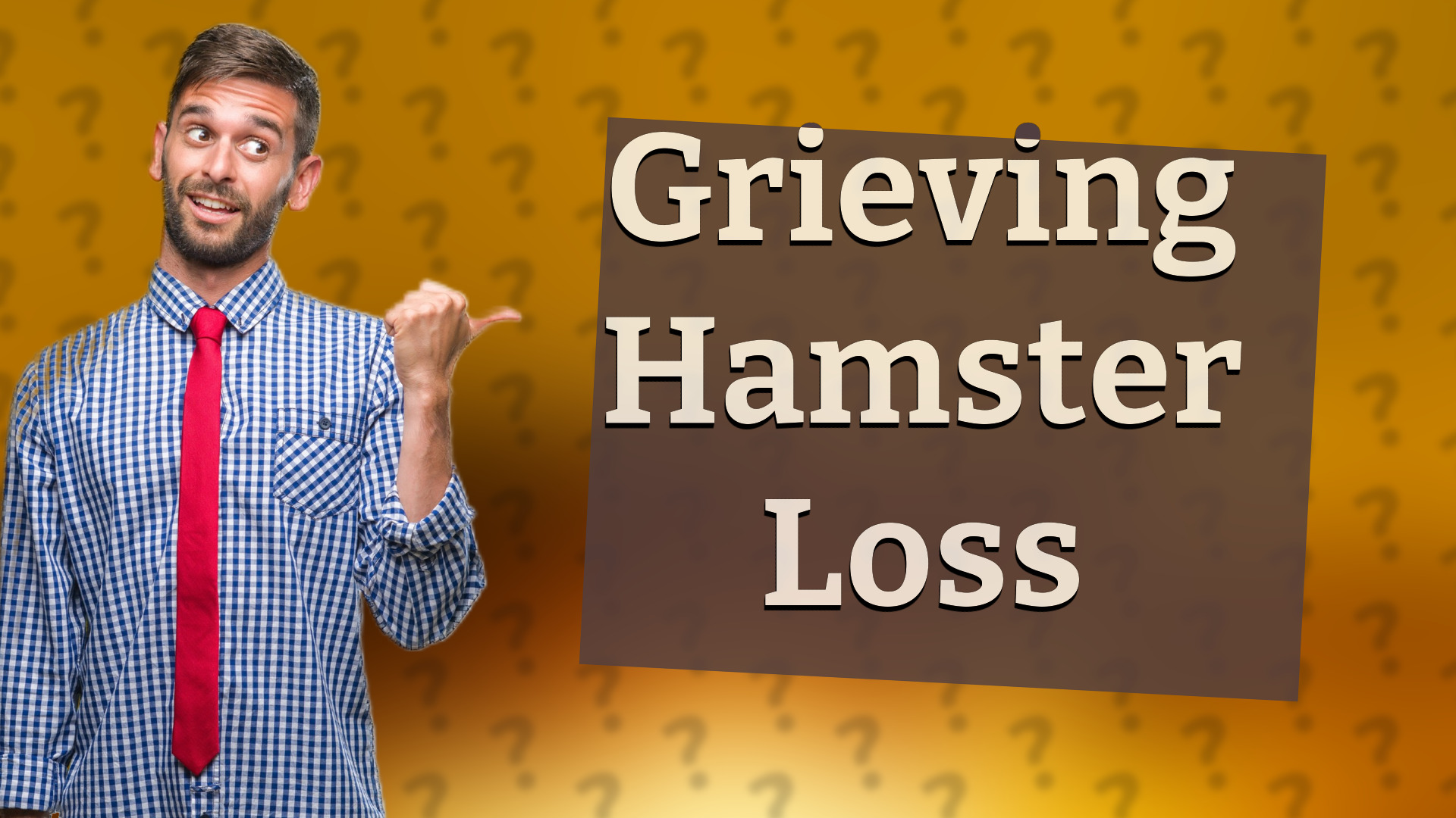 Grieving Hamster Loss