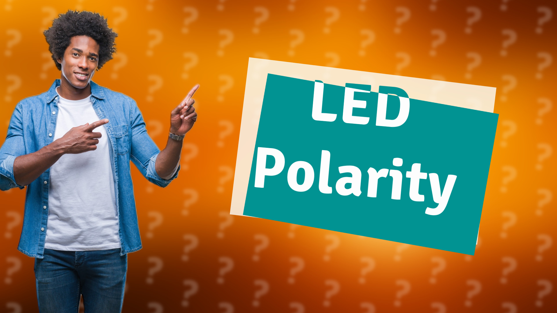 LED Polarity