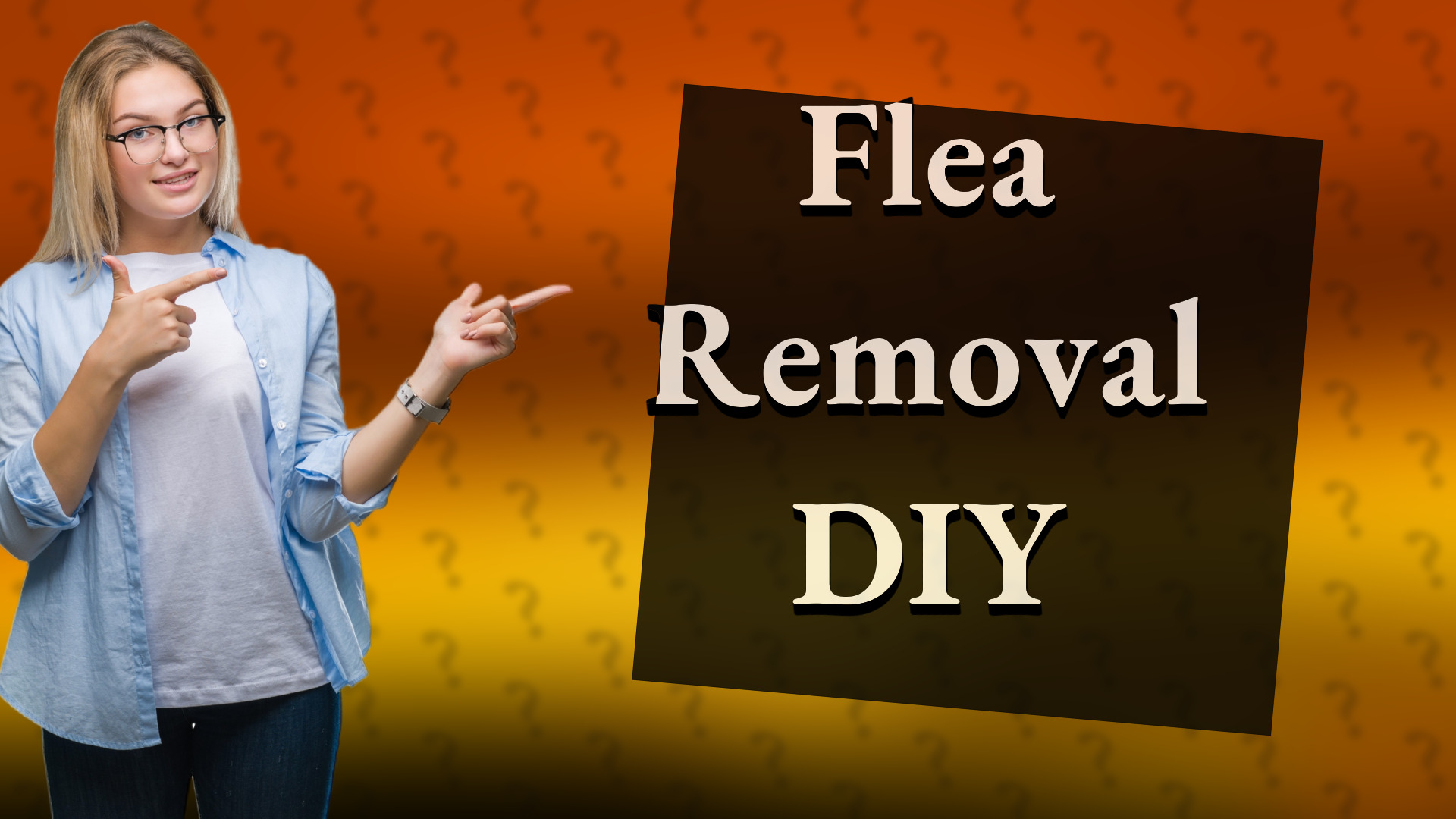 Flea Removal DIY