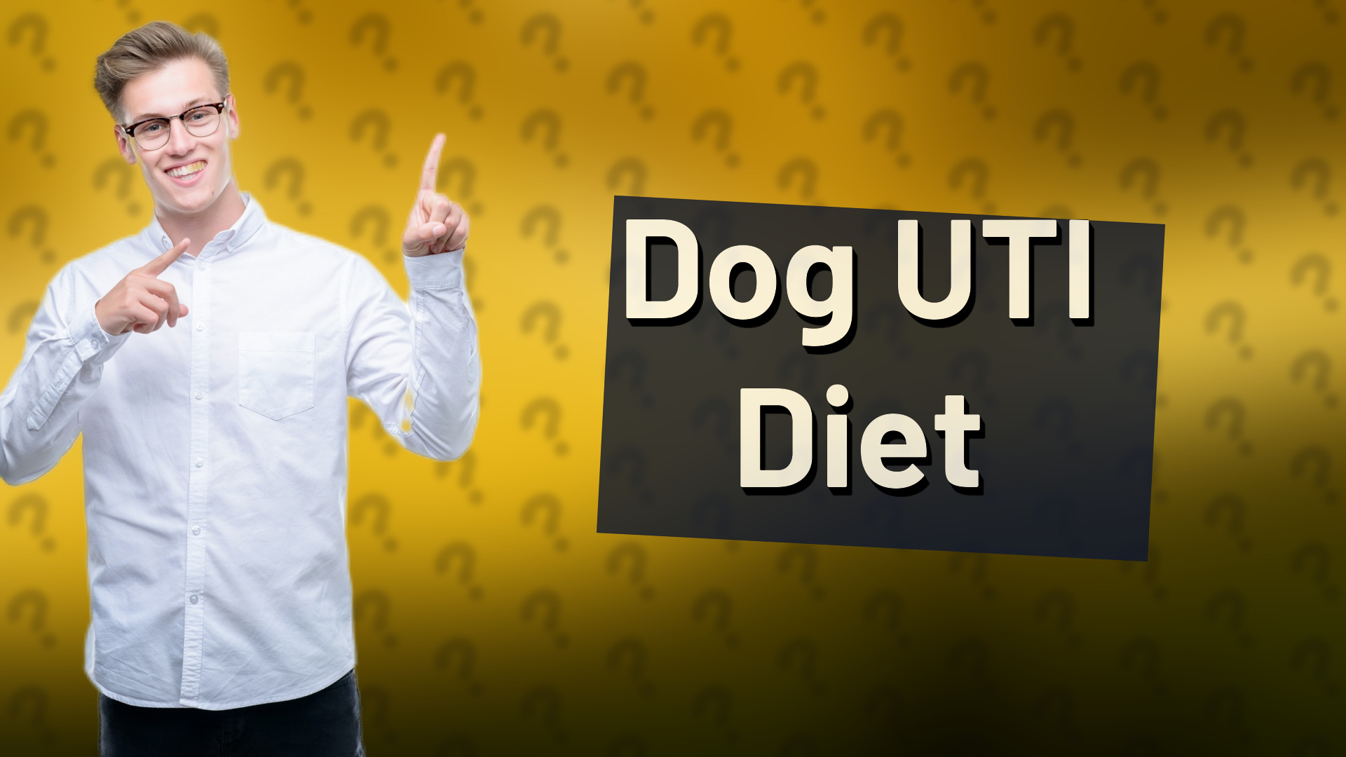 Dog UTI Diet