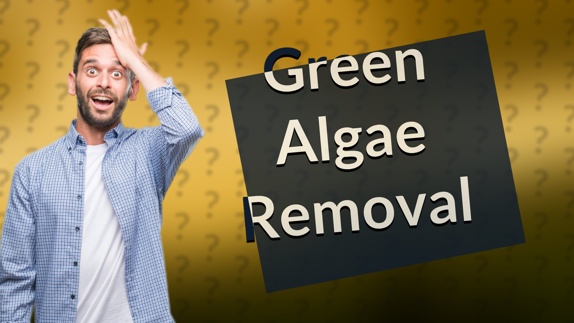 Green Algae Removal