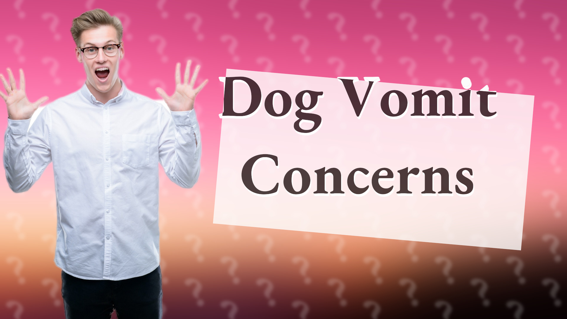 Dog Vomit Concerns