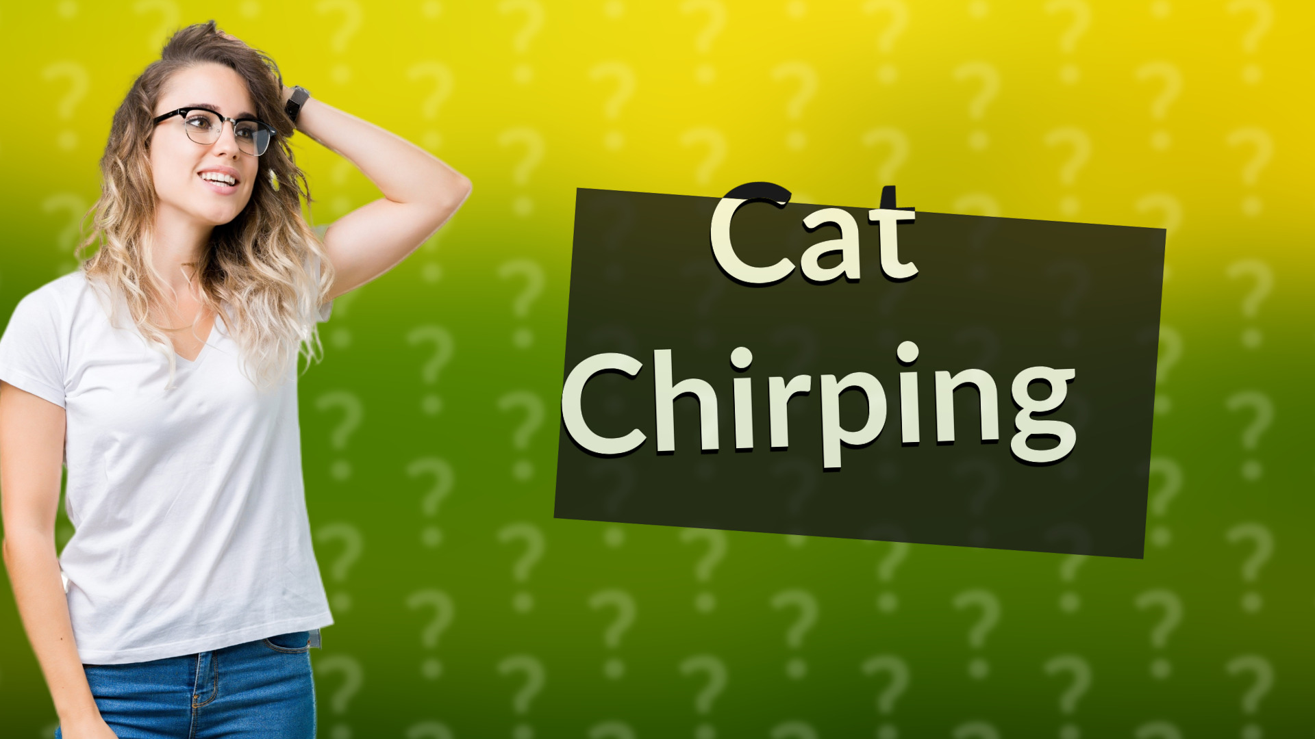 Cat Chirping
