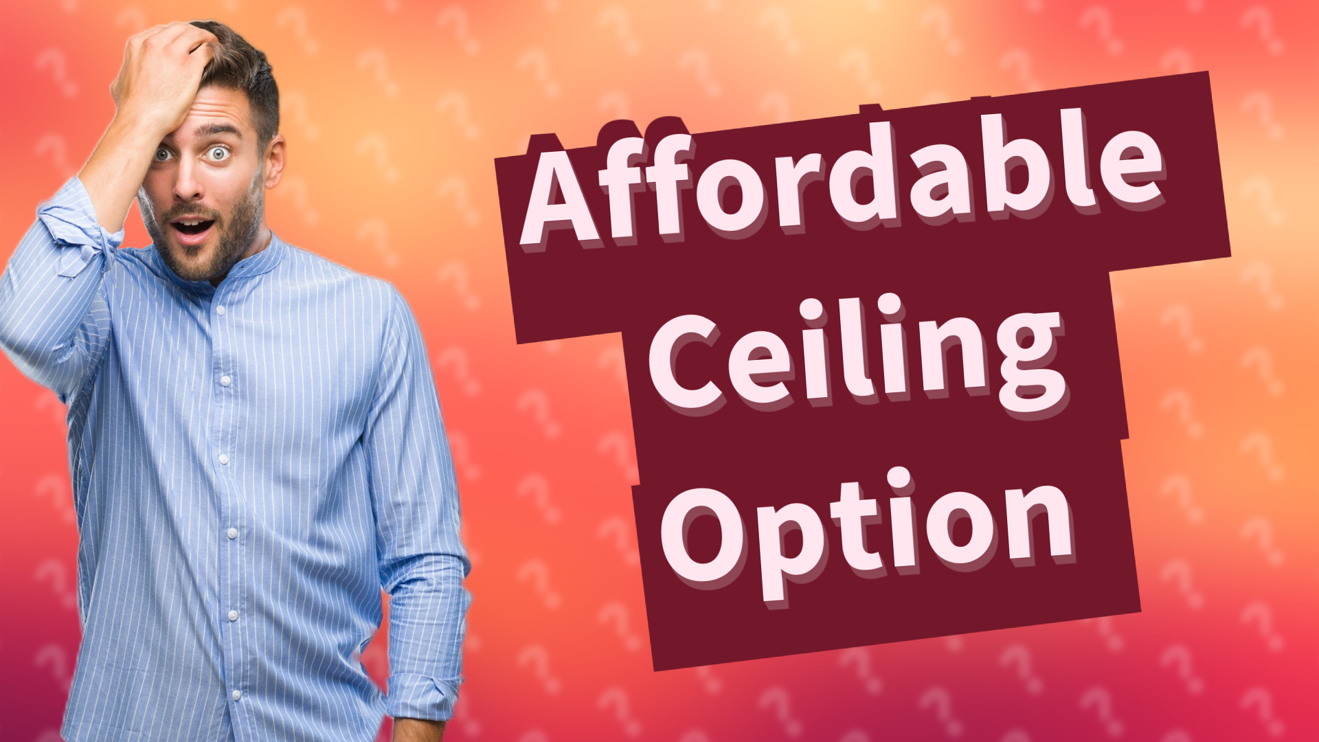 Affordable Ceiling Option