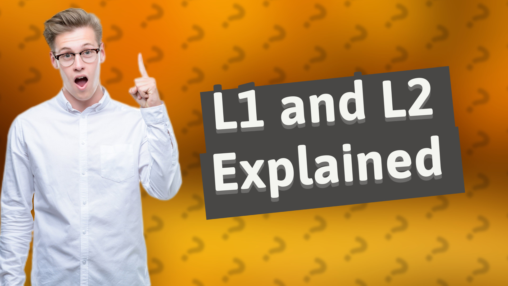 L1 and L2 Explained