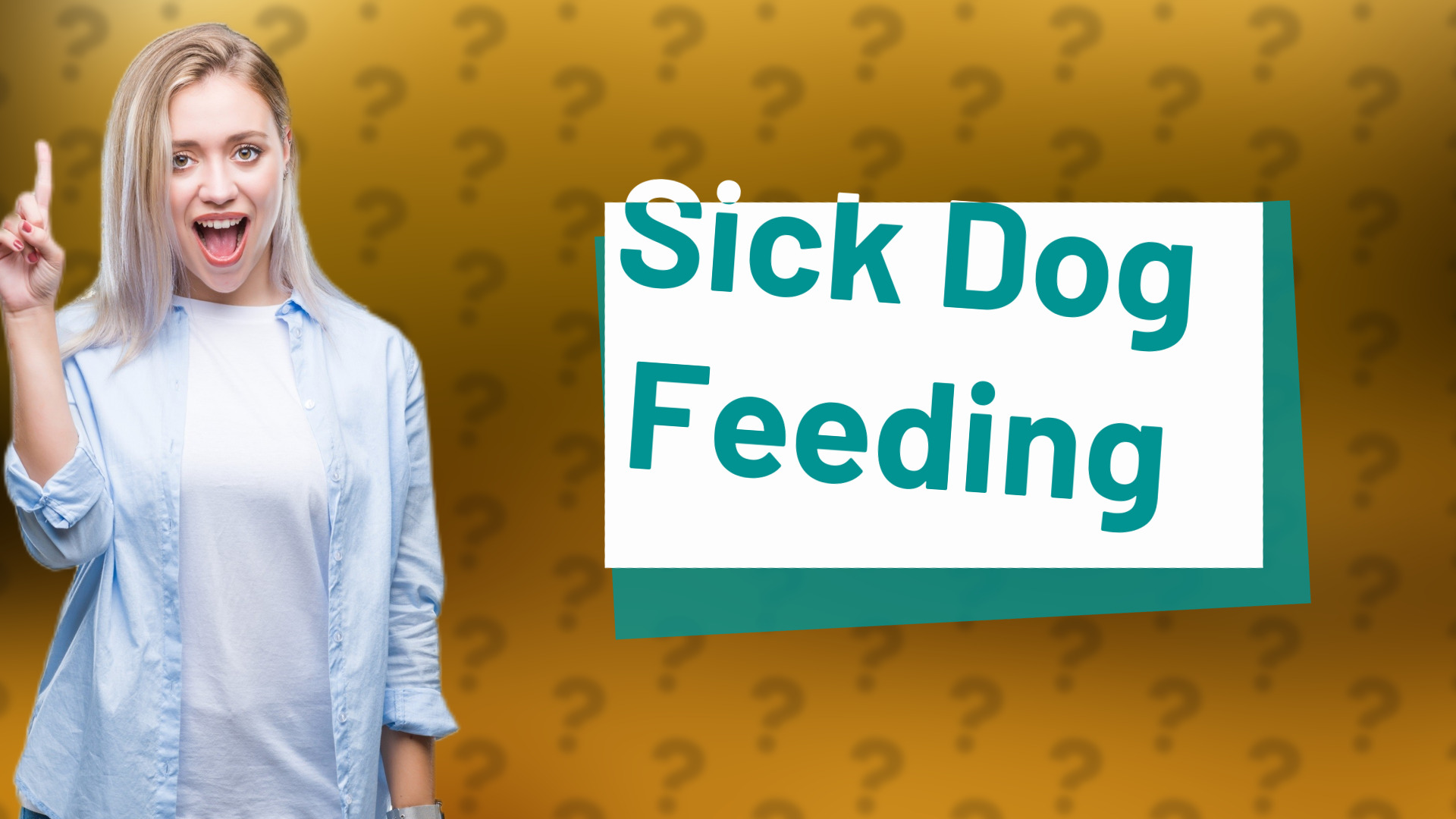 Sick Dog Feeding