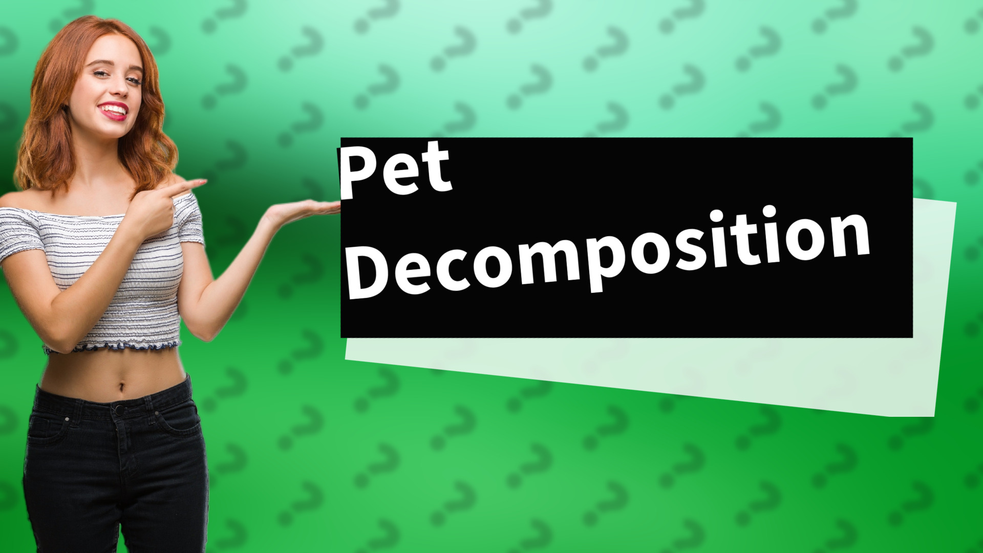 Pet Decomposition
