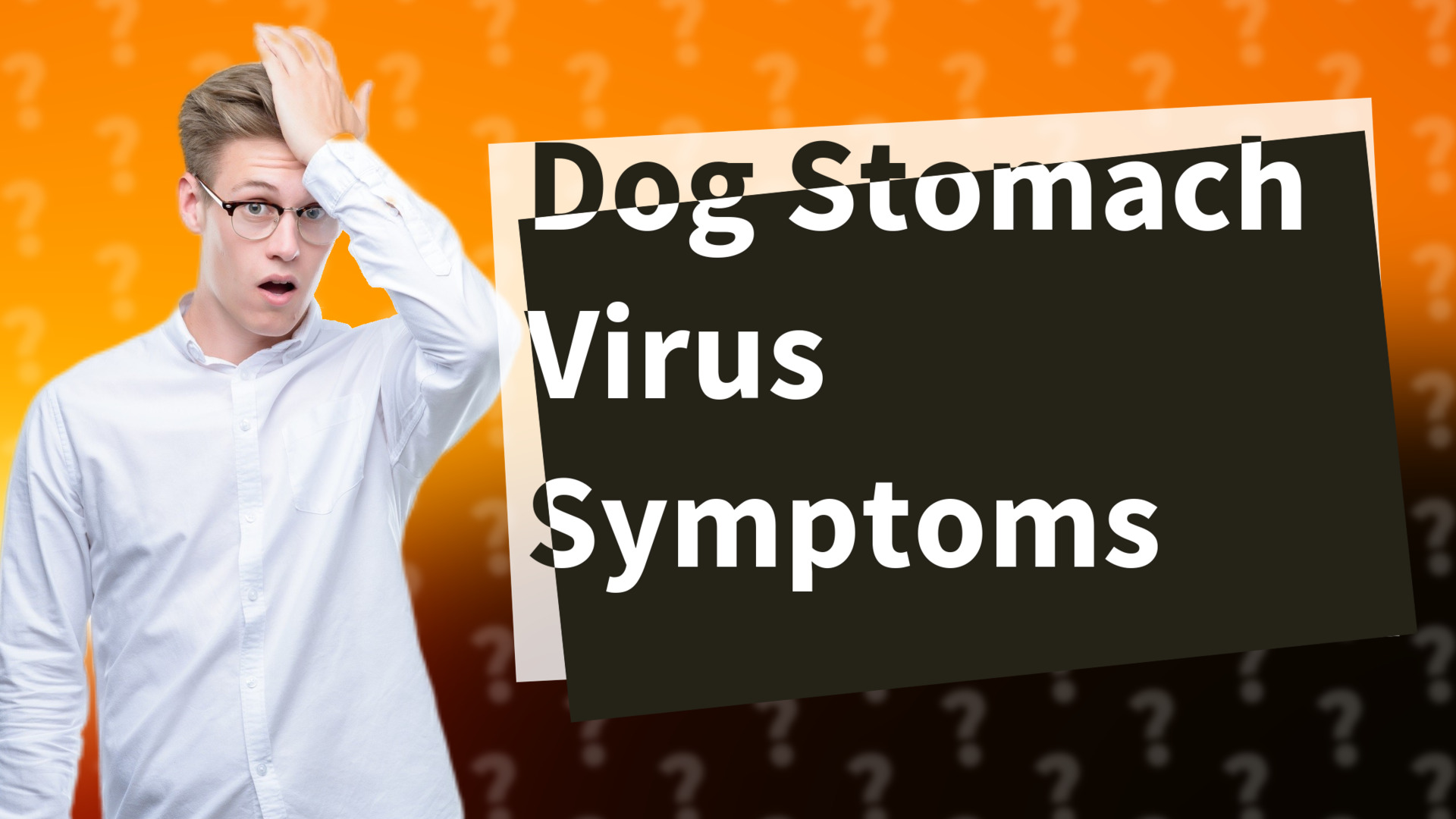 Dog Stomach Virus Symptoms