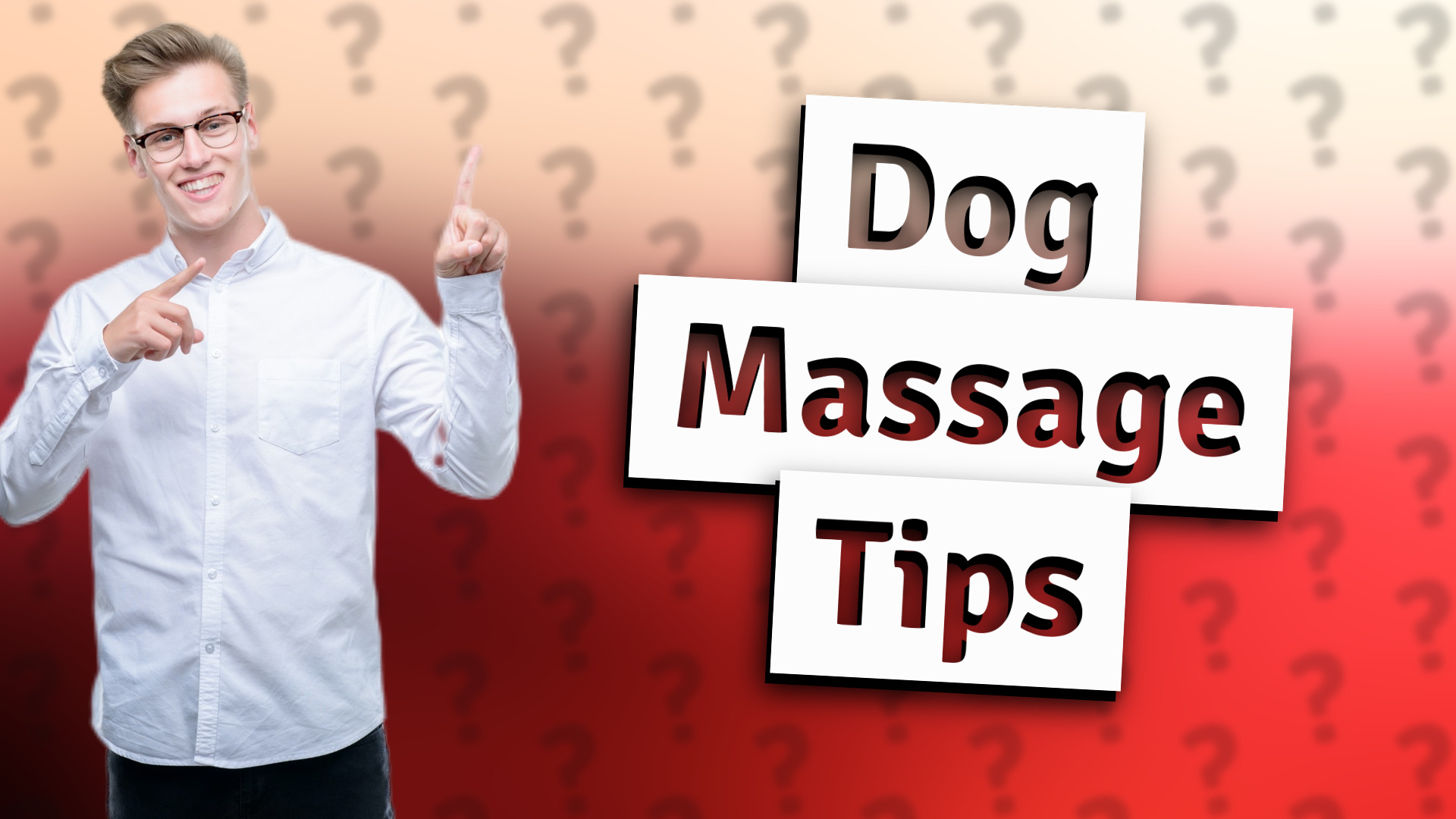 Dog Massage Tips