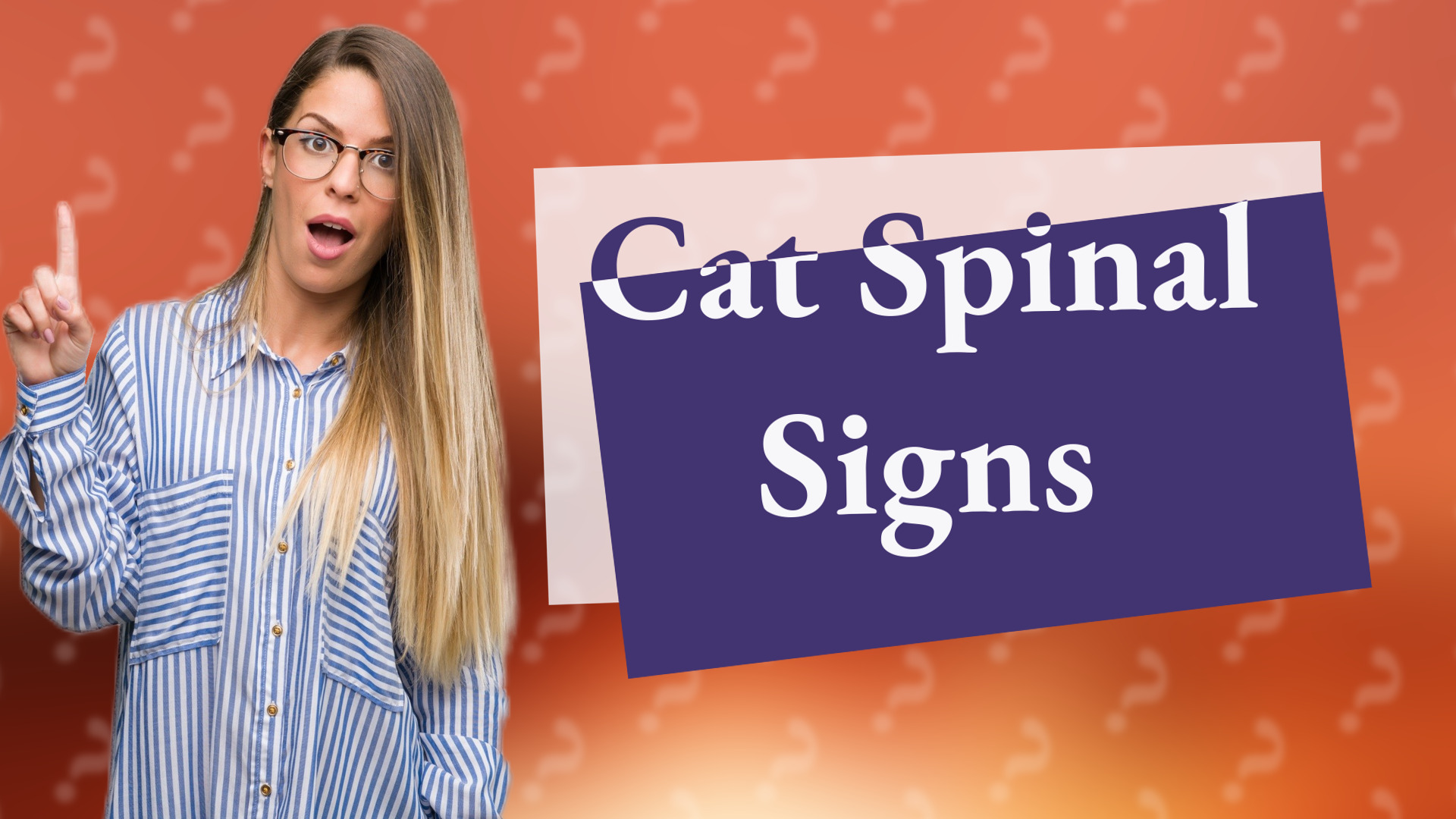 Cat Spinal Signs