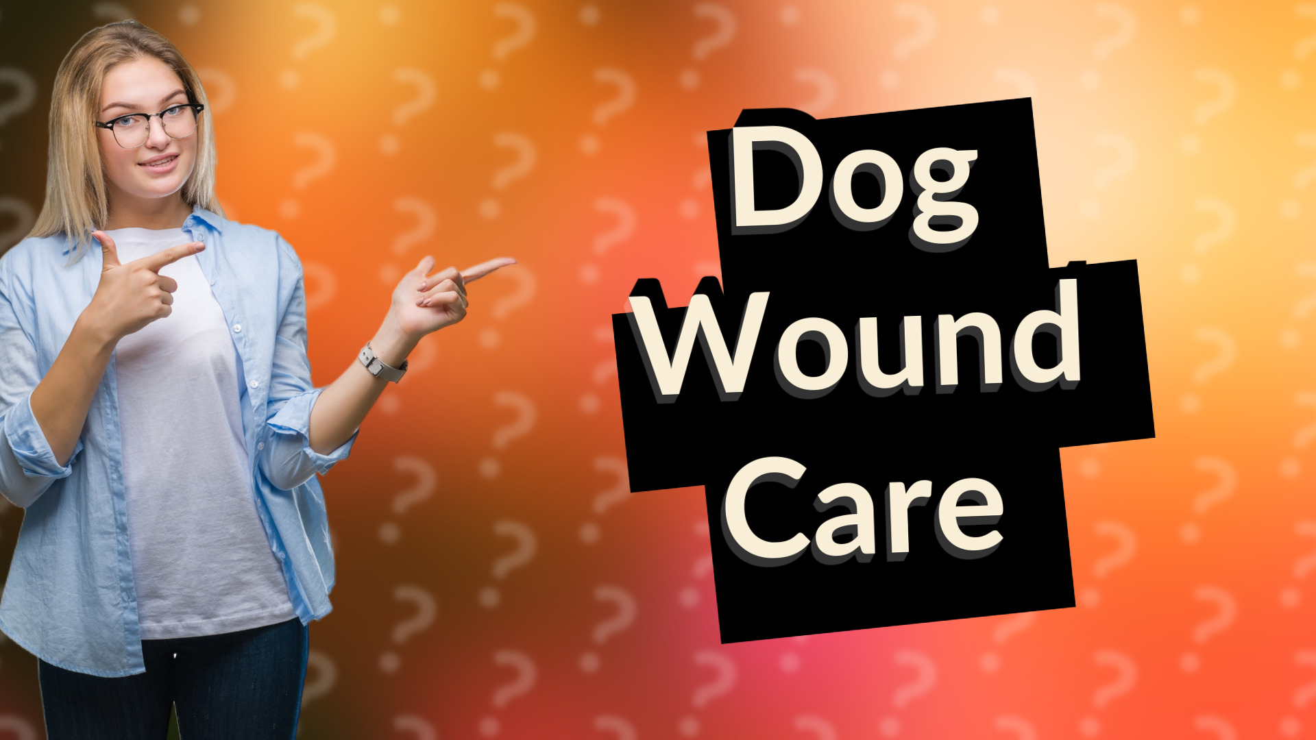 Dog Wound Care