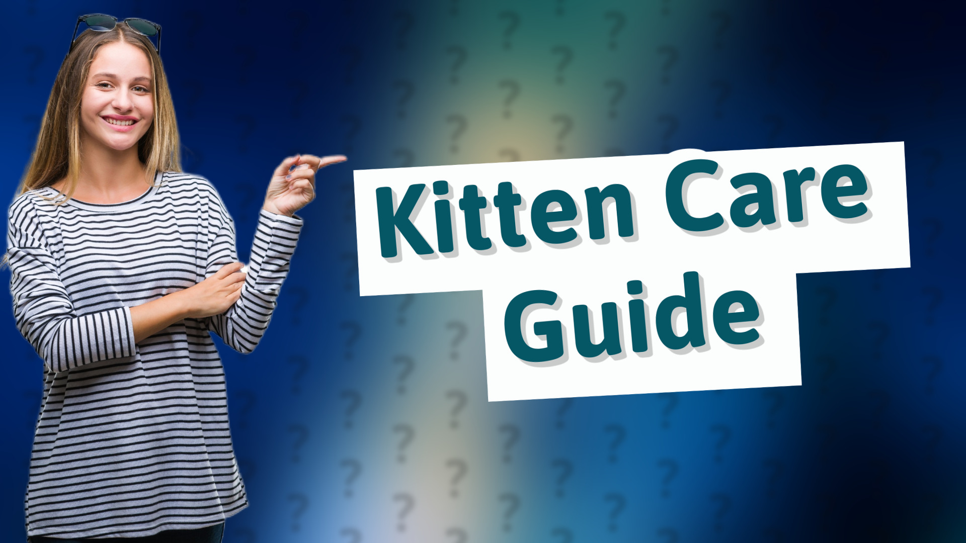 Kitten Care Guide