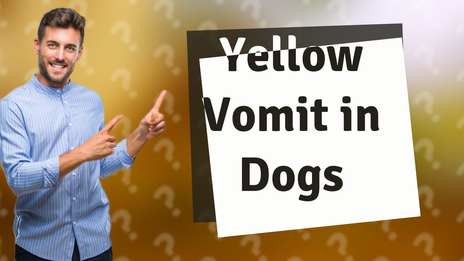 Yellow Vomit in Dogs
